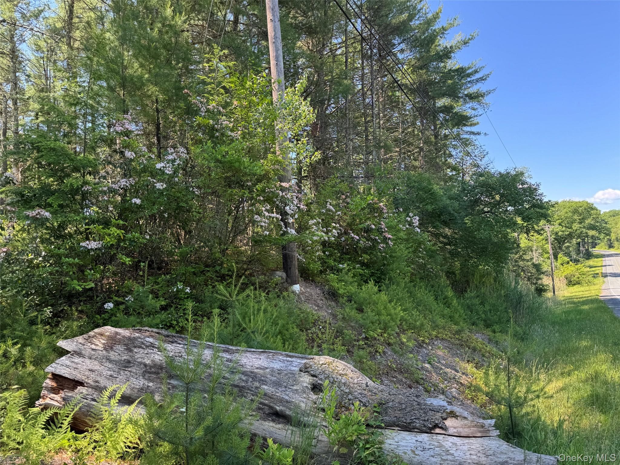 1315 Sackett Lake Rd RD thumbnail 2