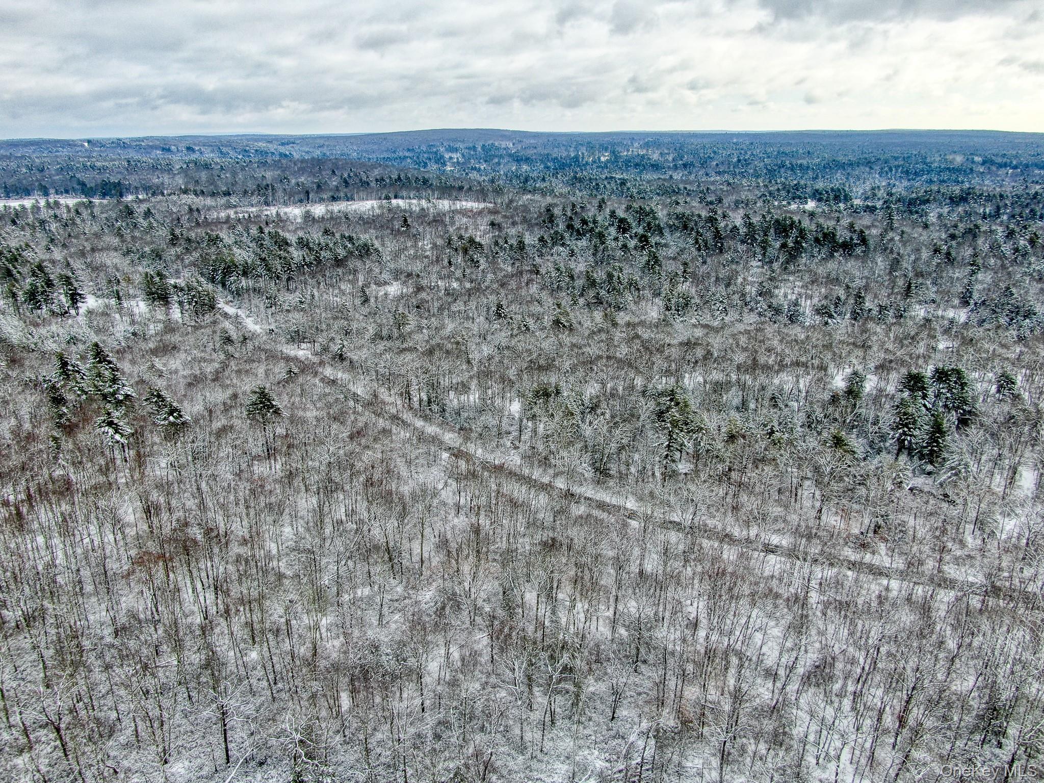 1315 Sackett Lake Rd RD thumbnail 16