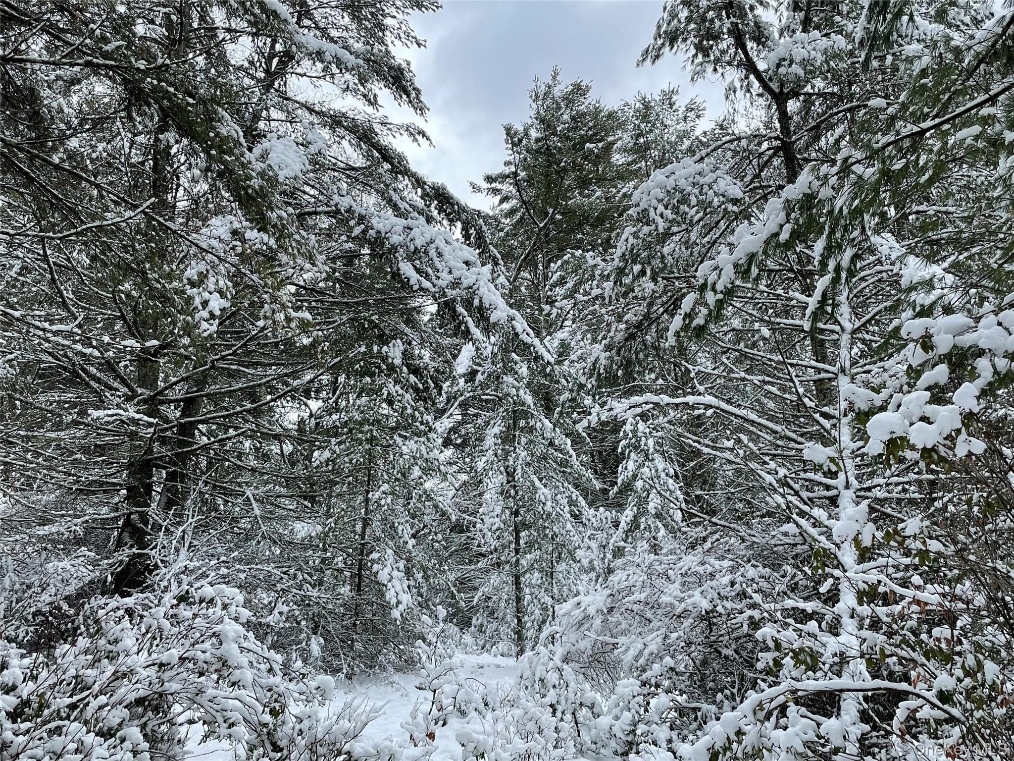 1315 Sackett Lake Rd RD thumbnail 22