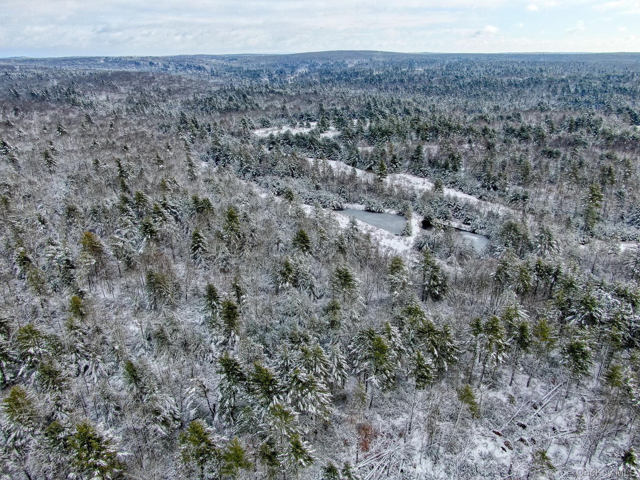1315 Sackett Lake Rd RD thumbnail 20
