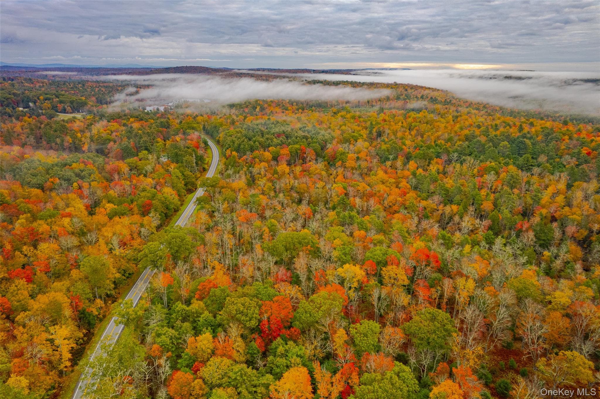 1315 Sackett Lake Rd RD thumbnail 11
