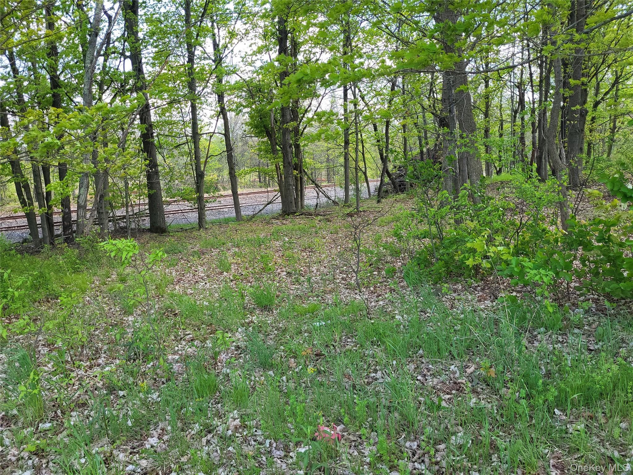 159 Bracken Road thumbnail 5