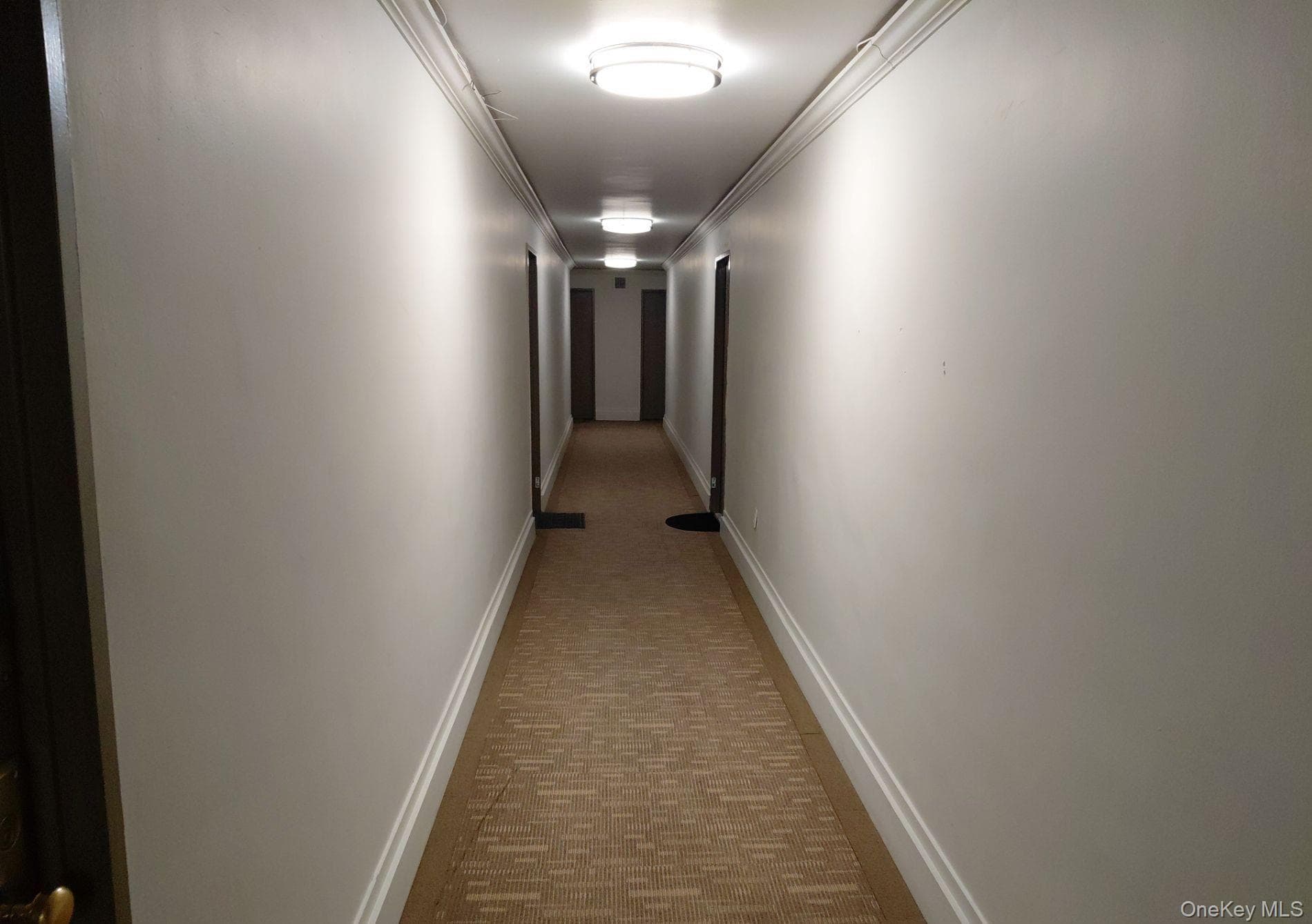 1019 Van Siclen Avenue Unit: 9-7L thumbnail 2