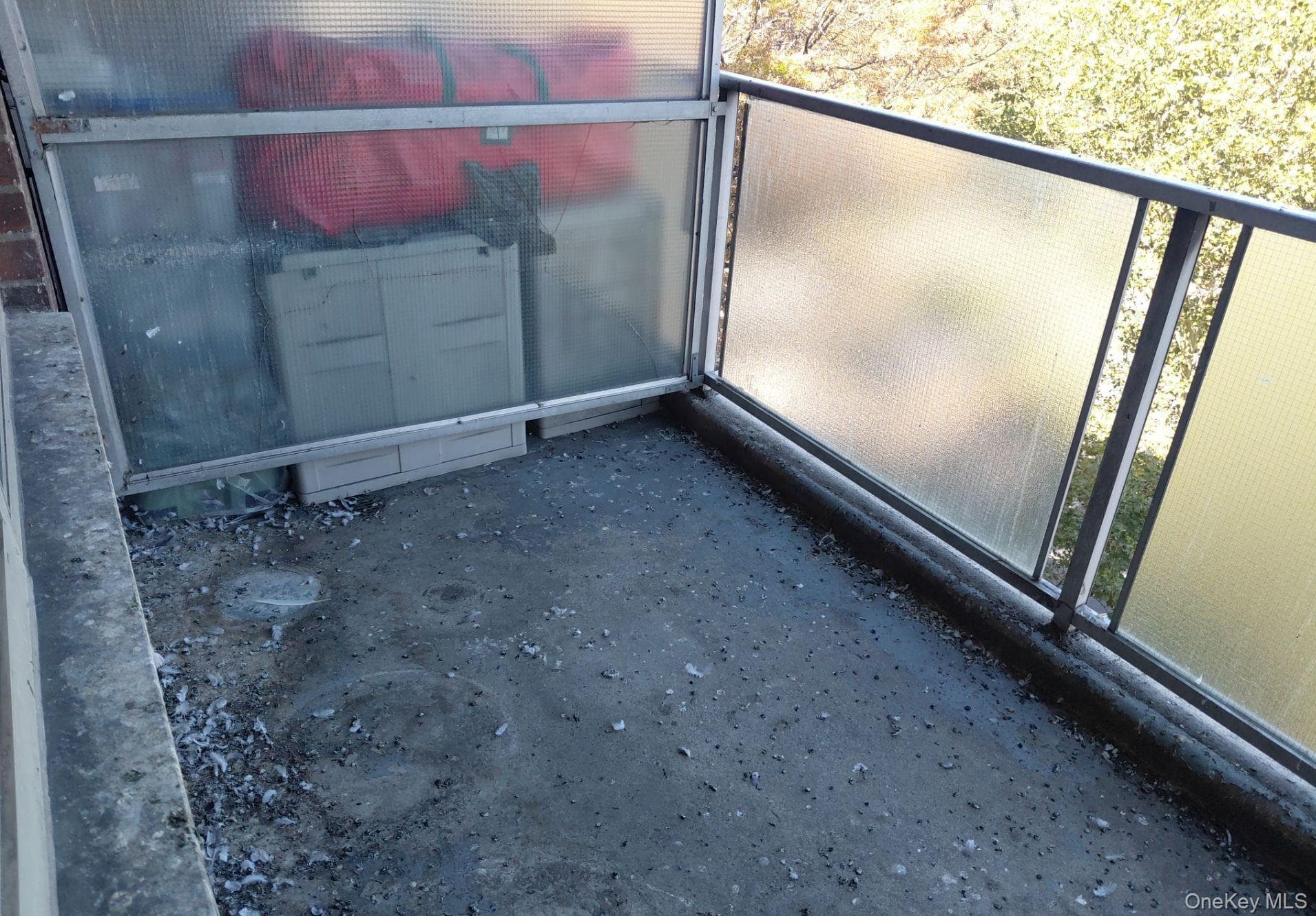 1019 Van Siclen Avenue Unit: 9-7L thumbnail 9