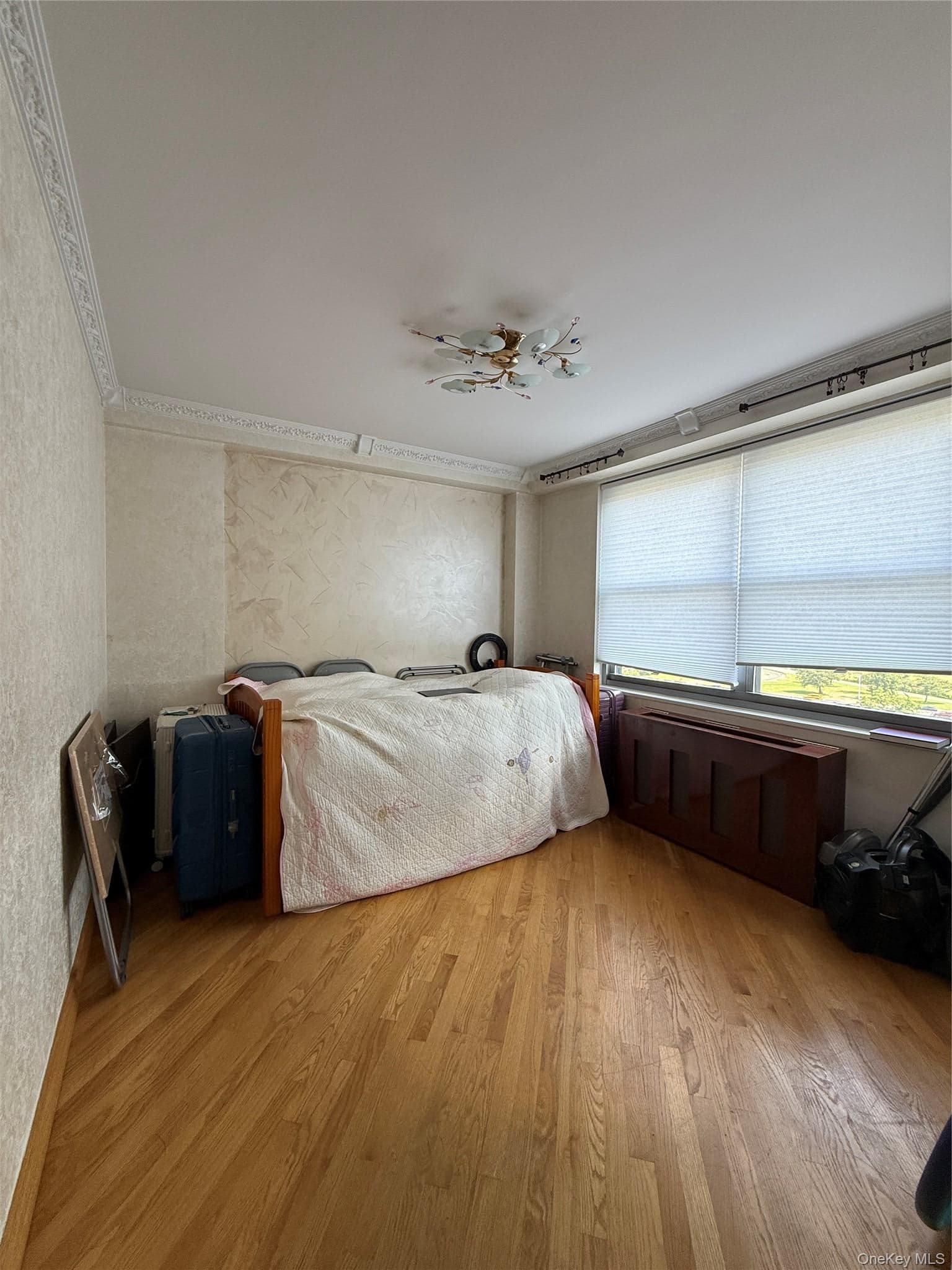 61-20 Grand Central Parkway Unit: C 905 thumbnail 13
