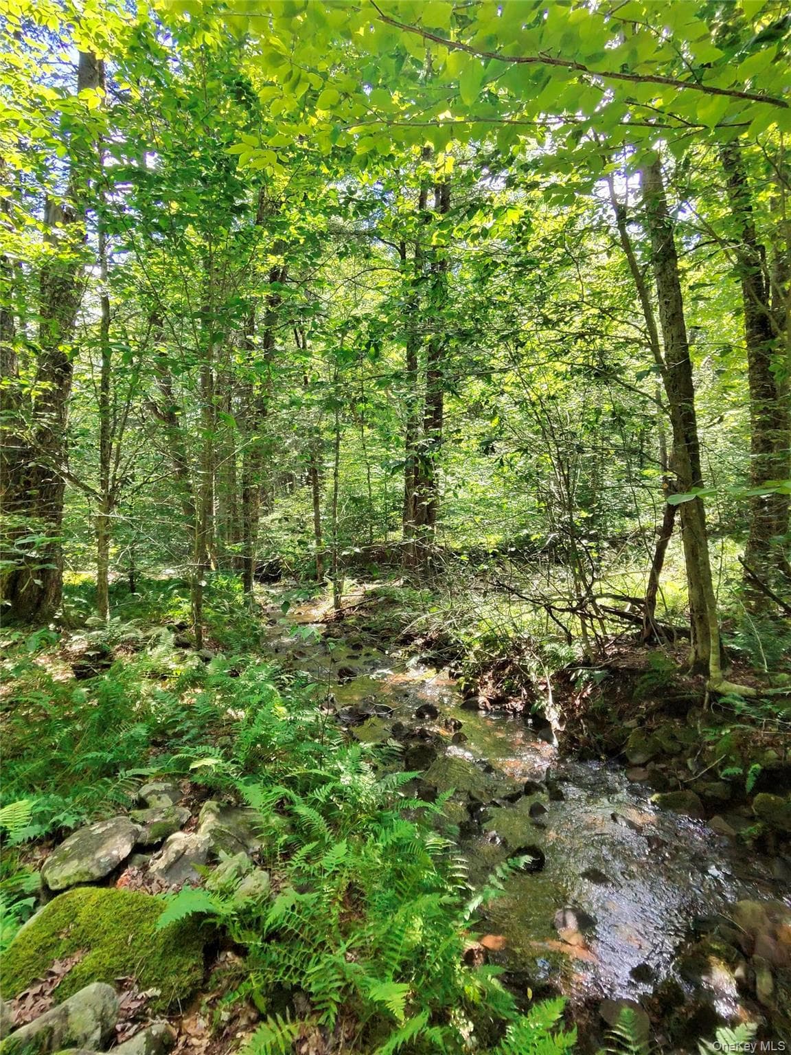 2735 Denning Road thumbnail 50