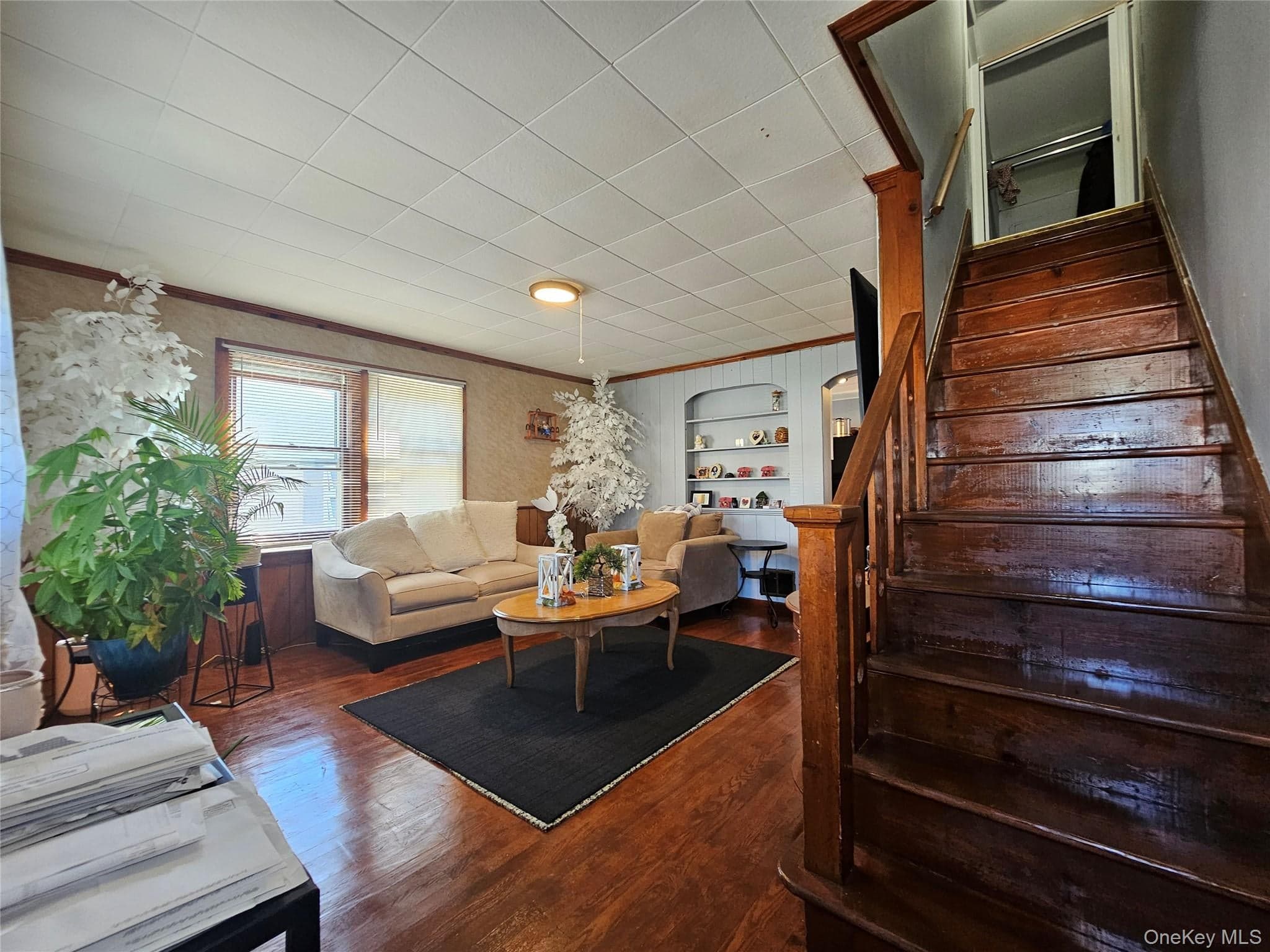 11 Willard Street thumbnail 7