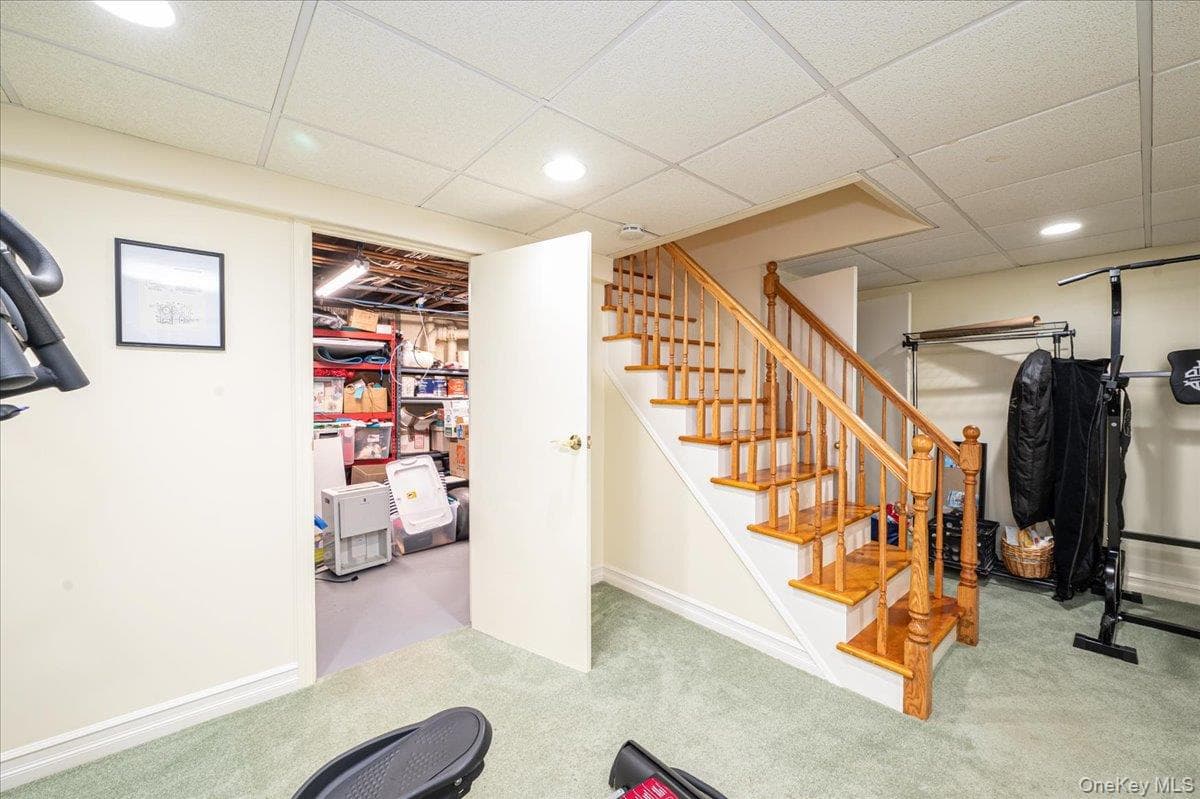 34 Albemarle Road thumbnail 35