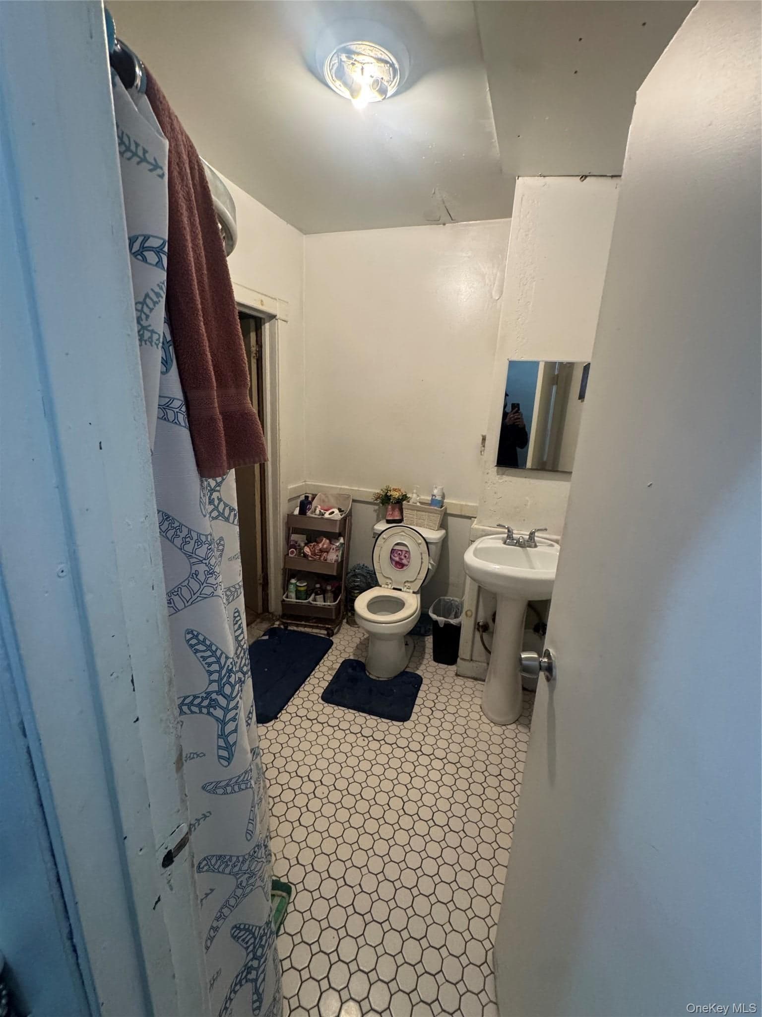 1183 Decatur Street thumbnail 11