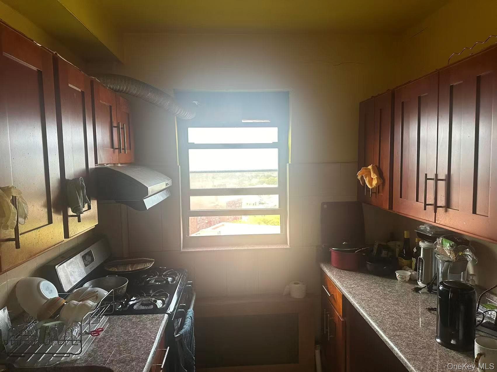 64-34 102nd Street St Unit: 11X thumbnail 6
