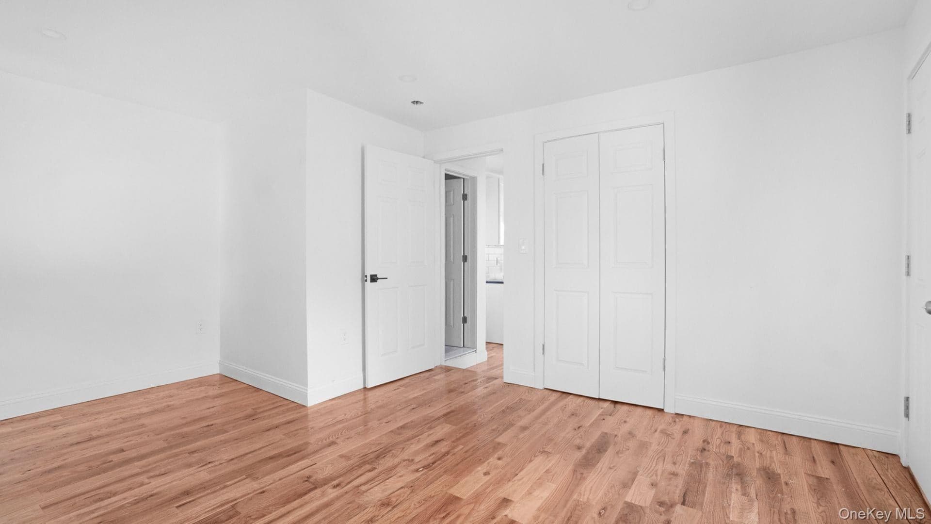 1148 E 211th Street thumbnail 12