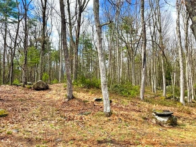195 W Mohican Trail thumbnail 18