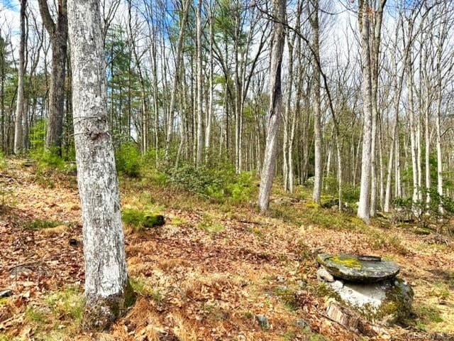 195 W Mohican Trail thumbnail 4