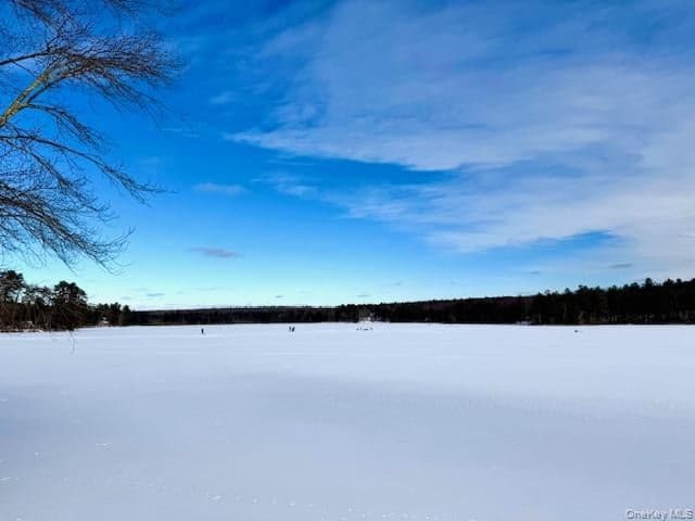 195 W Mohican Trail thumbnail 24