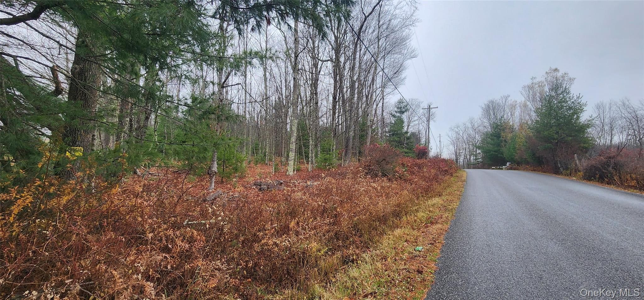 Thompson Road photo 1