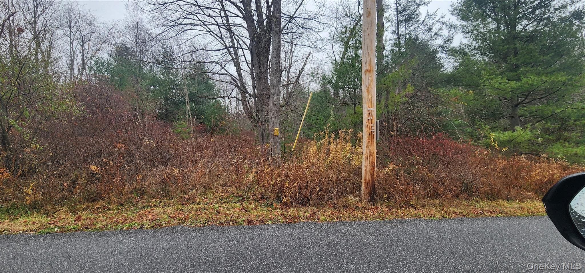 Thompson Road thumbnail 5