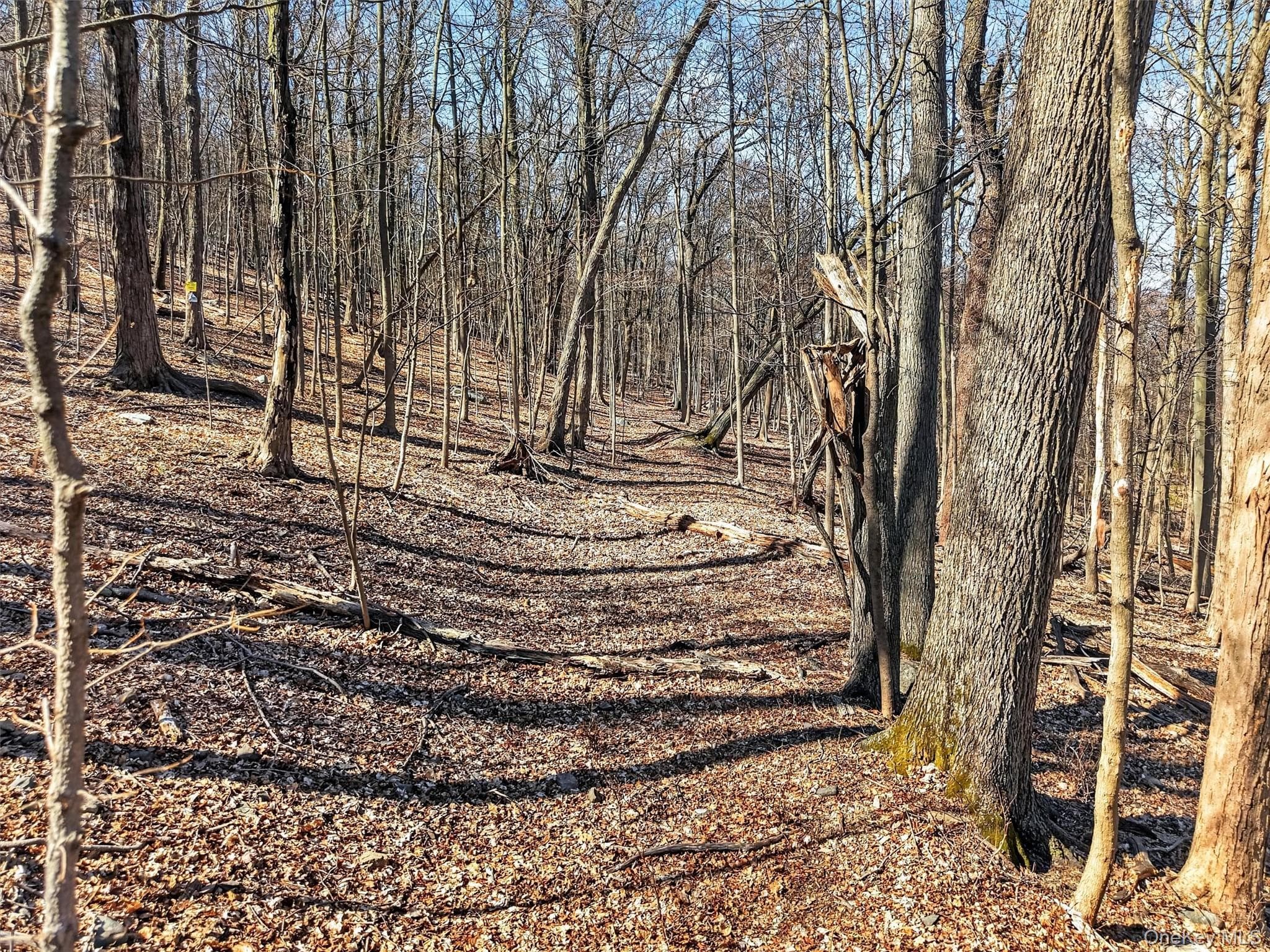 15-16 Hideaway Place thumbnail 5
