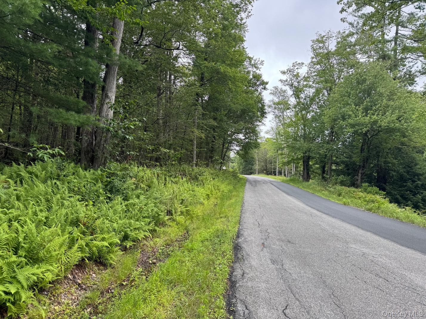 00 Starlight Road, Monticello