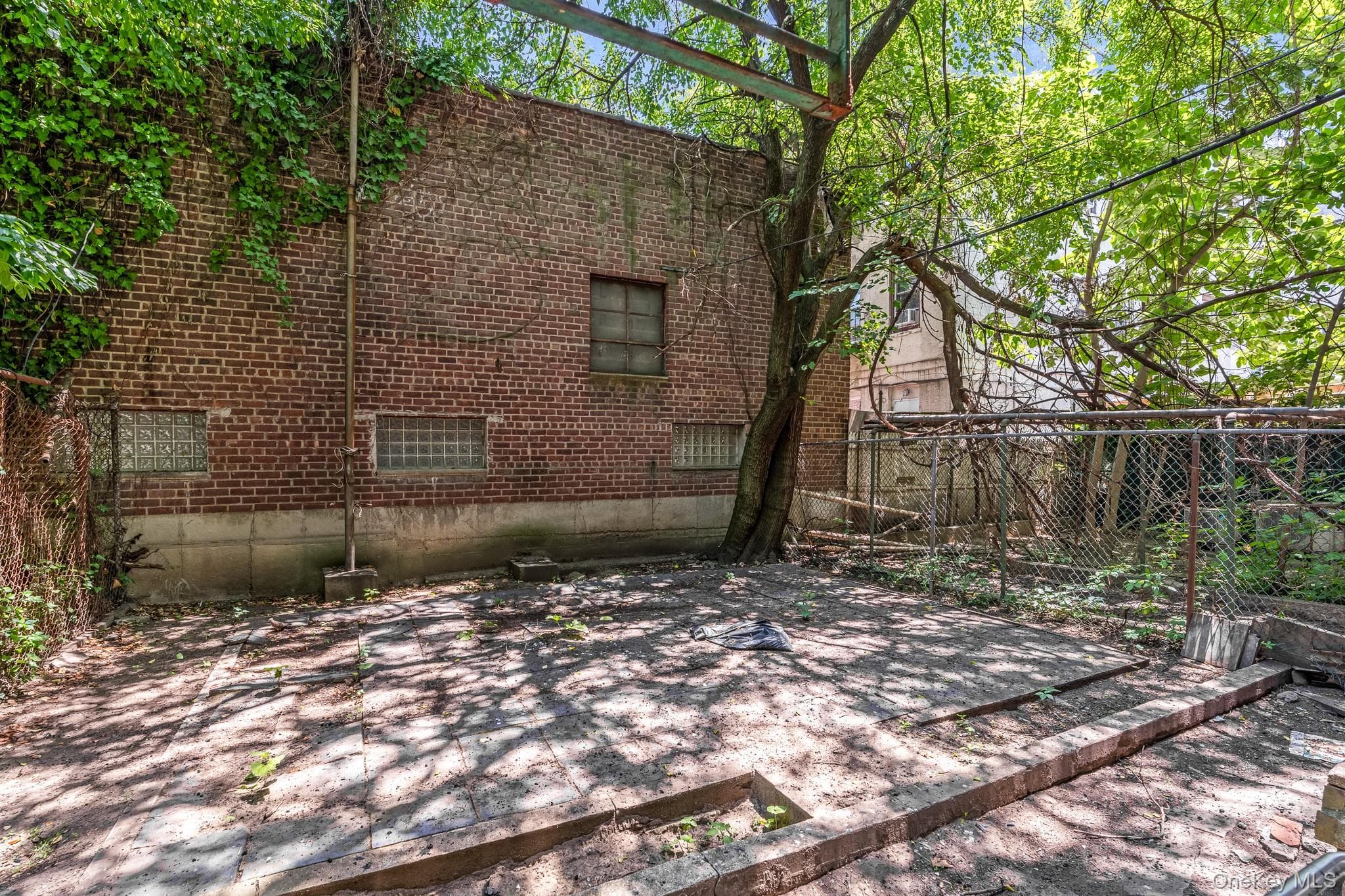 1281 Nostrand Avenue thumbnail 18