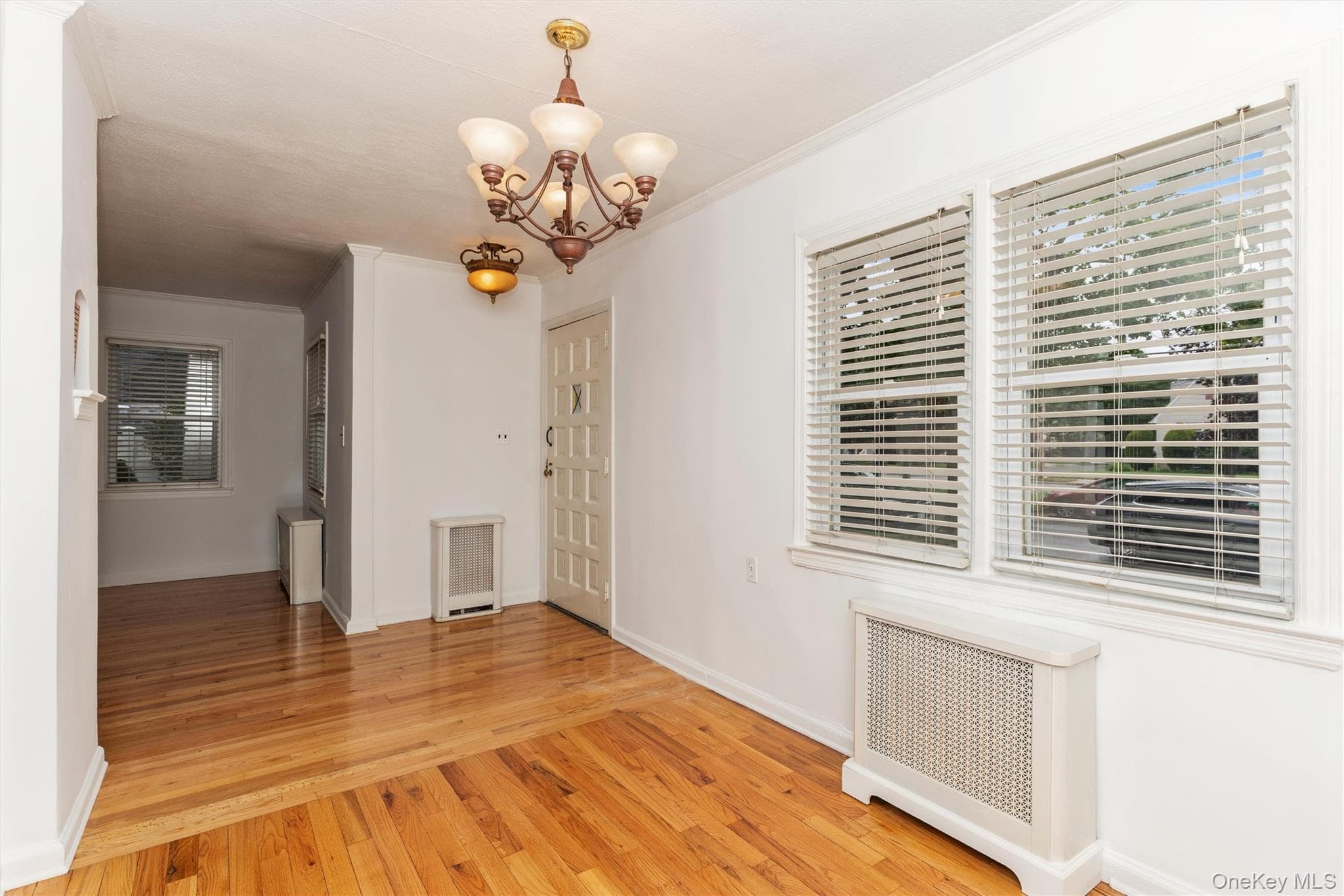1493 New Hyde Park Drive thumbnail 6
