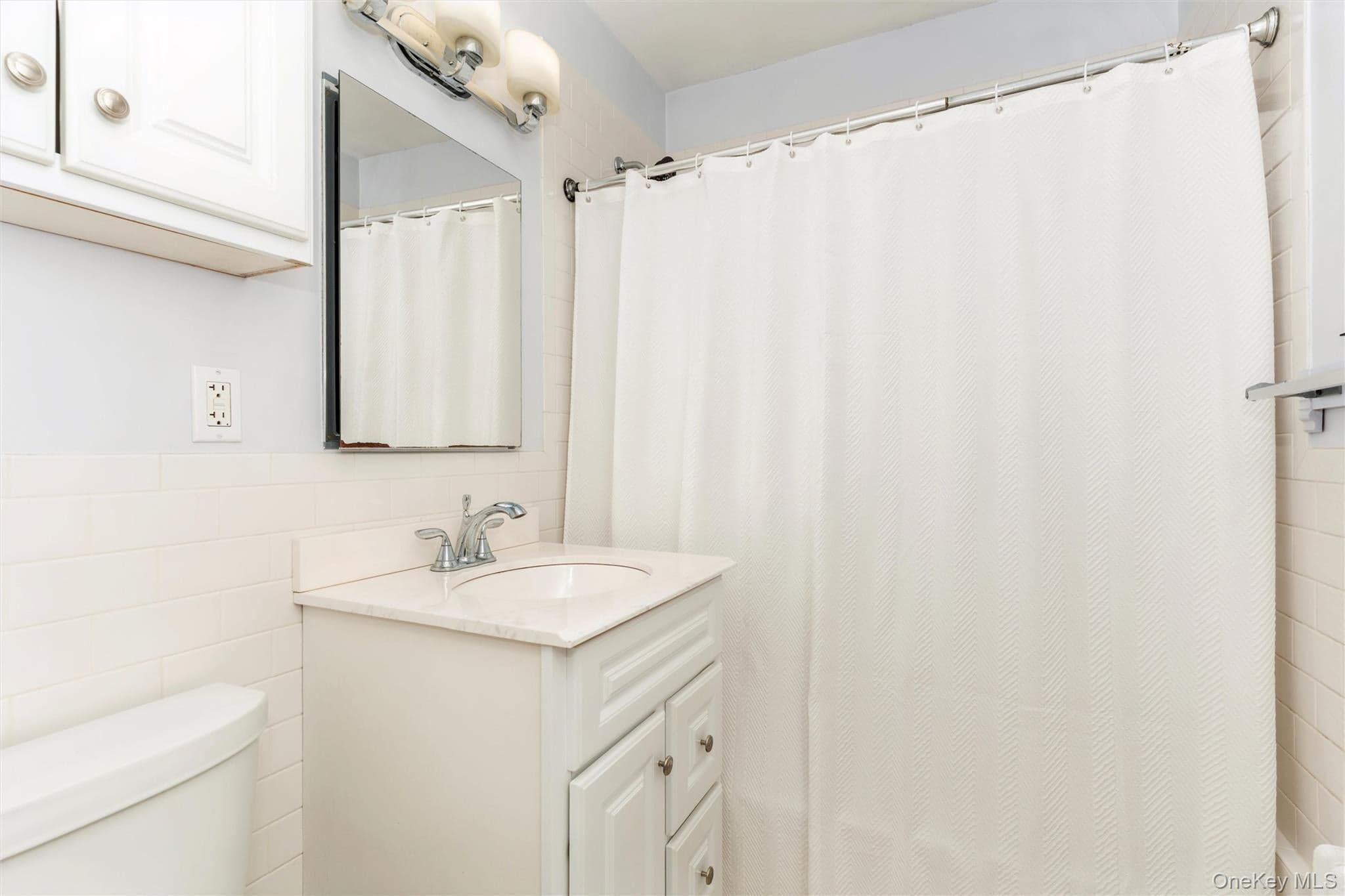 1493 New Hyde Park Drive thumbnail 11