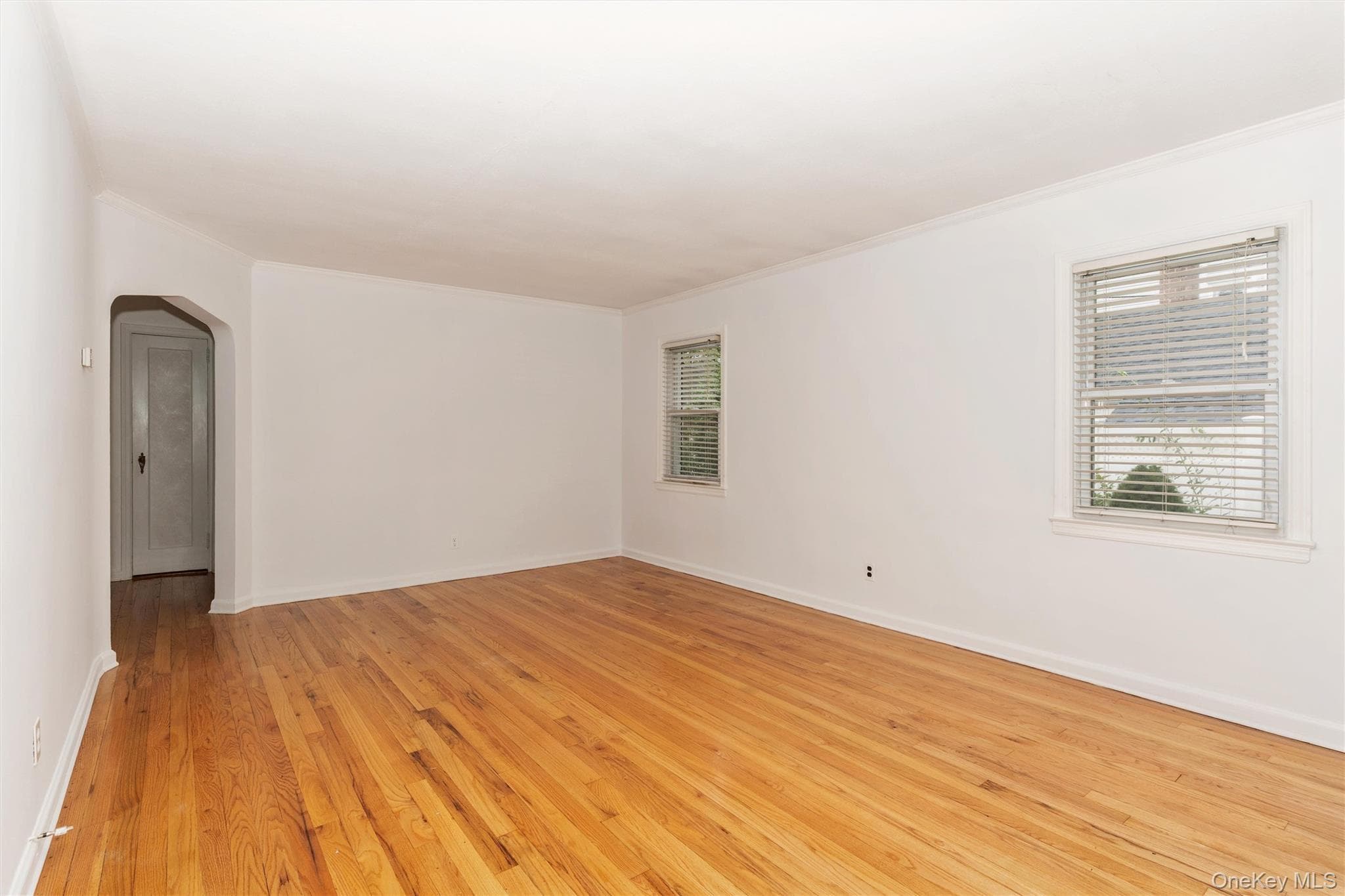 1493 New Hyde Park Drive thumbnail 8