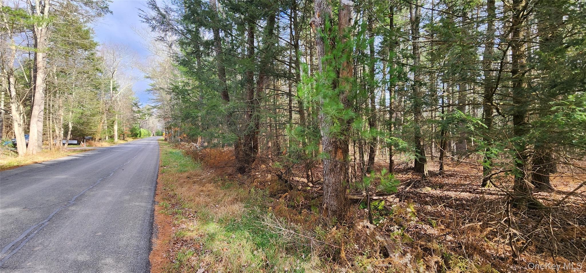 00 Mongaup Road, Monticello