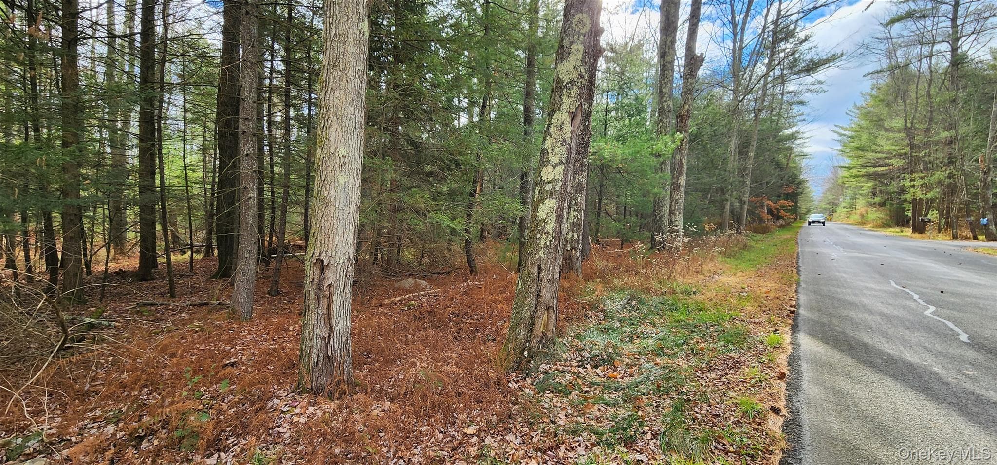 00 Mongaup Road thumbnail 4