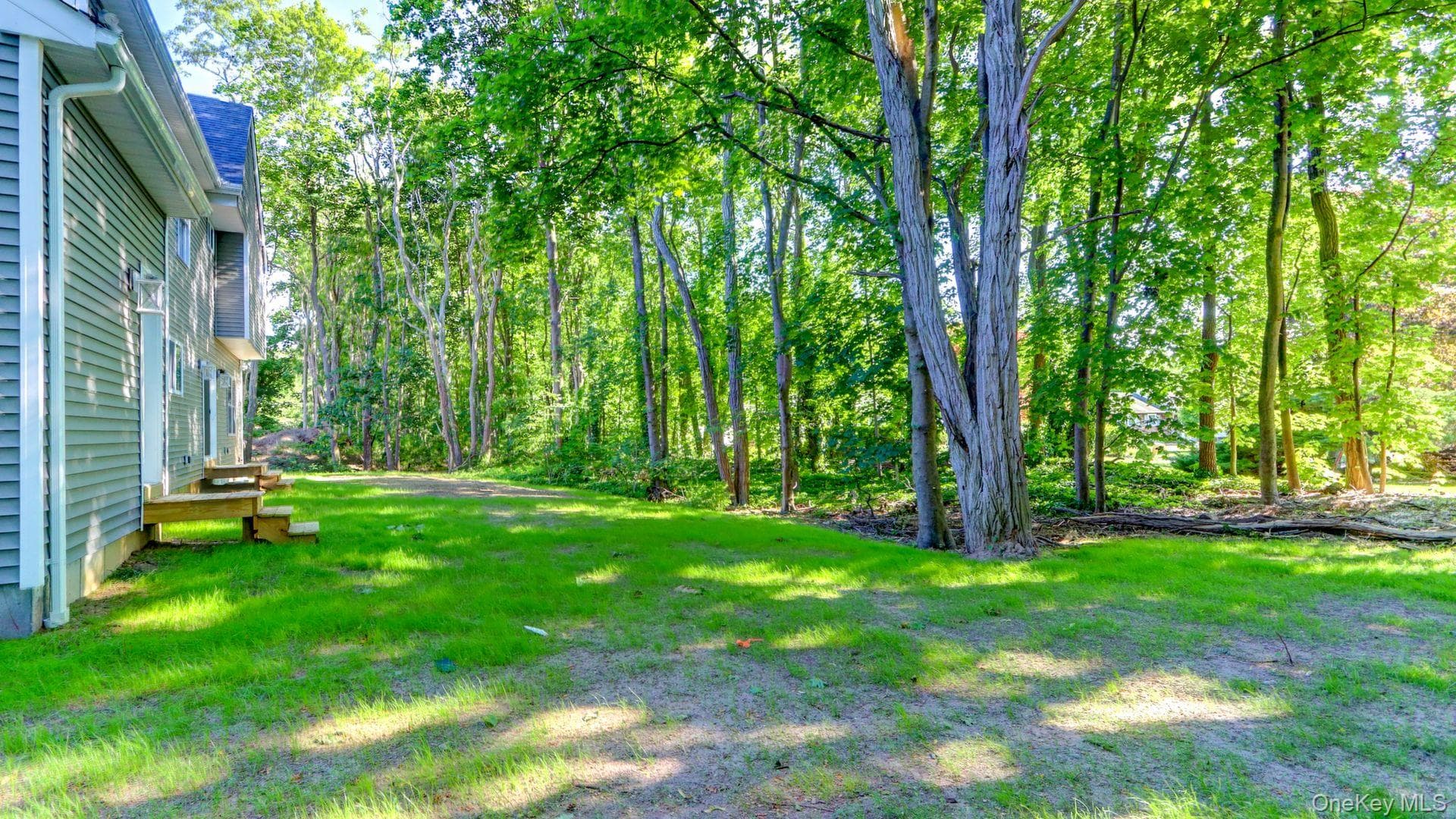 TBB Forest Avenue thumbnail 31