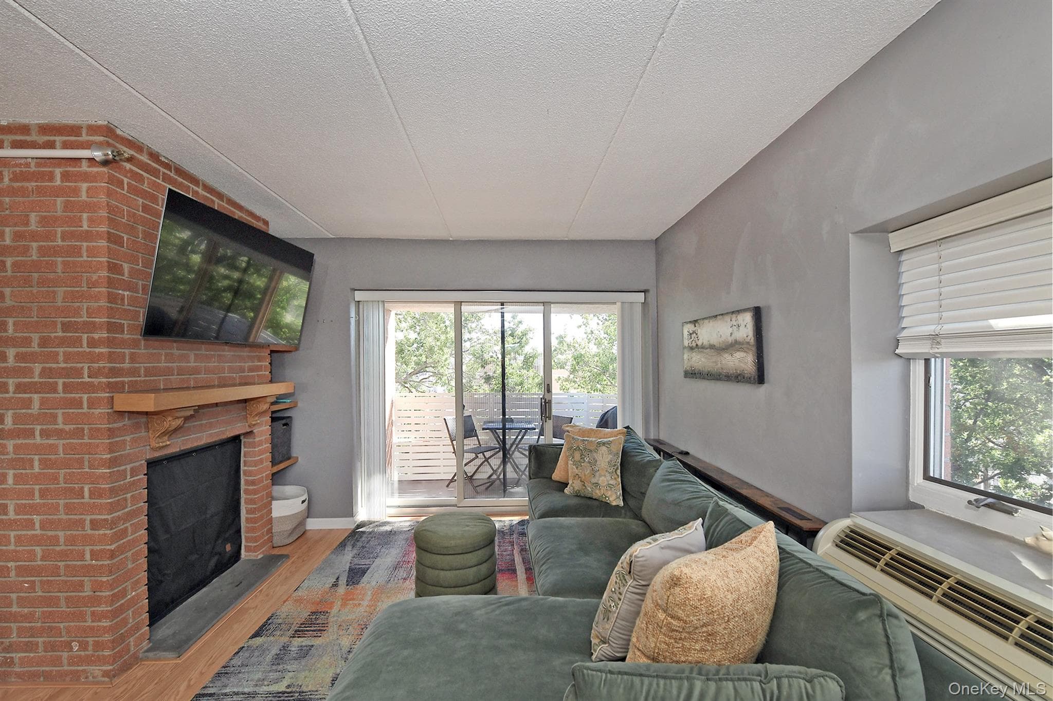 205 Mineola Boulevard Unit: 5I thumbnail 14