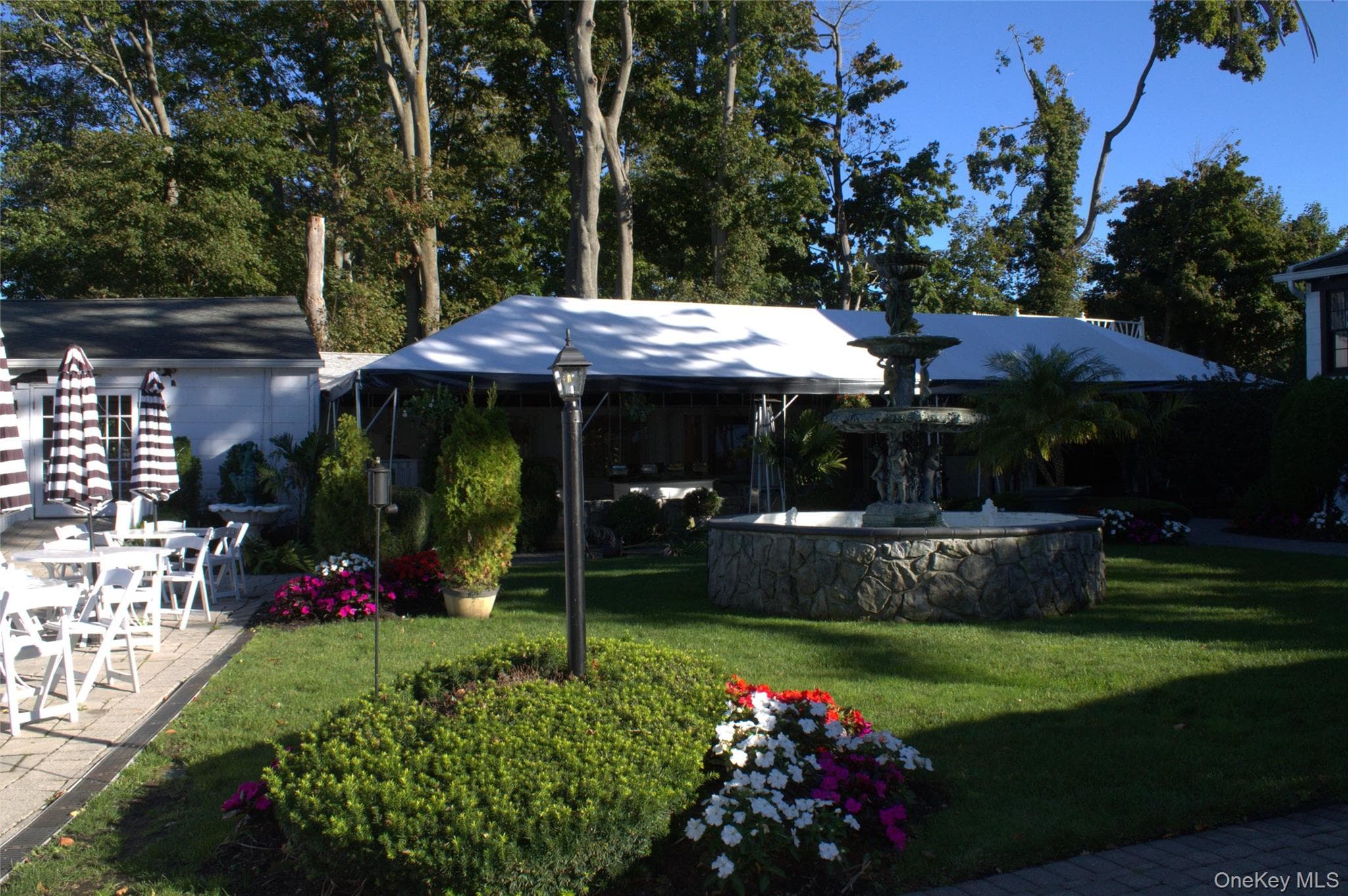 161 Rose Drive thumbnail 8
