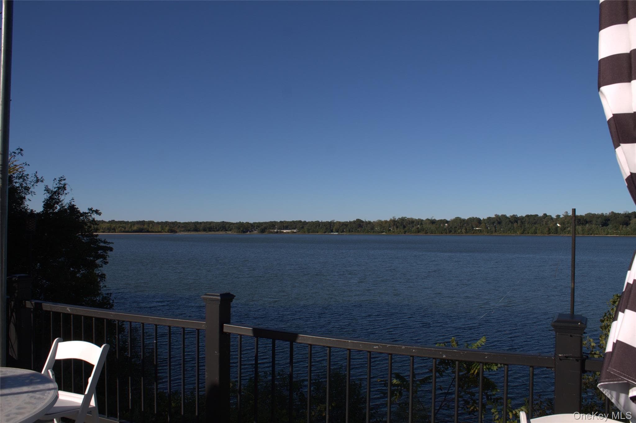 161 Rose Drive thumbnail 9