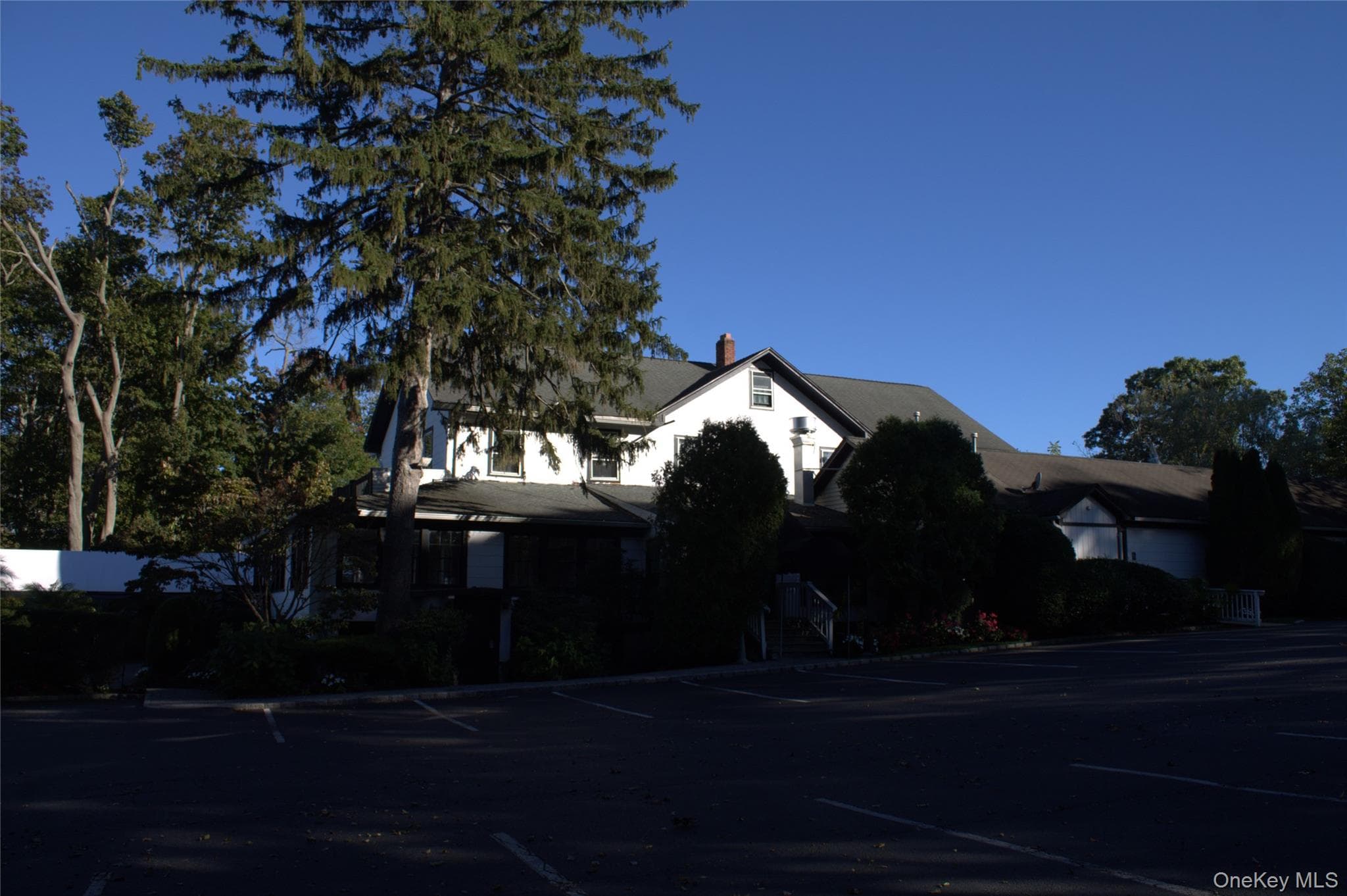 161 Rose Drive thumbnail 3
