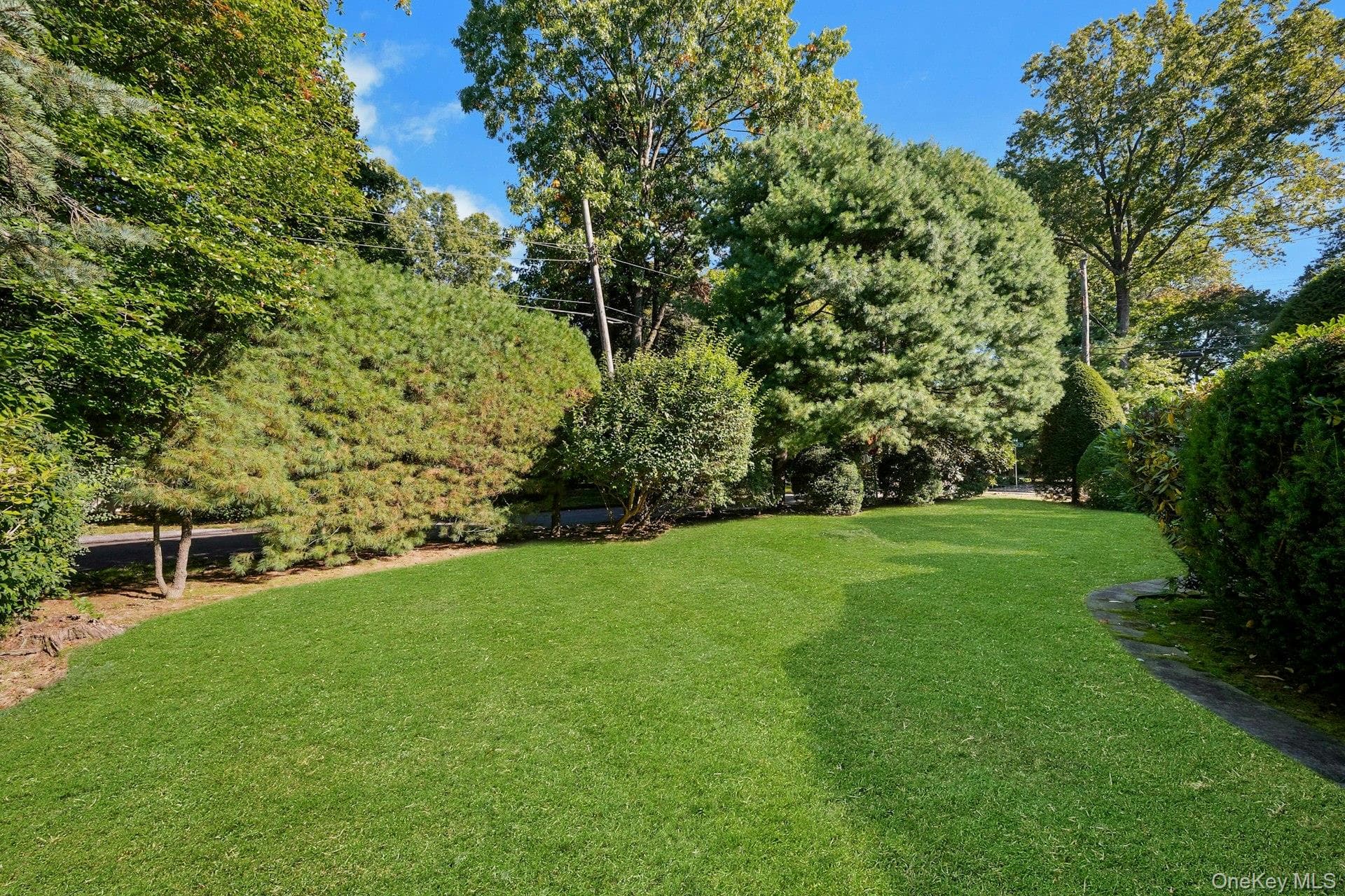 258 Evandale Road thumbnail 4