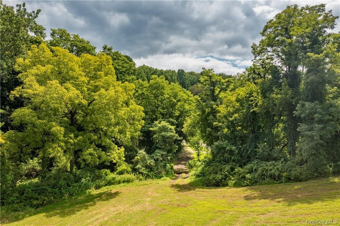 245 Birch Hill Road thumbnail 4