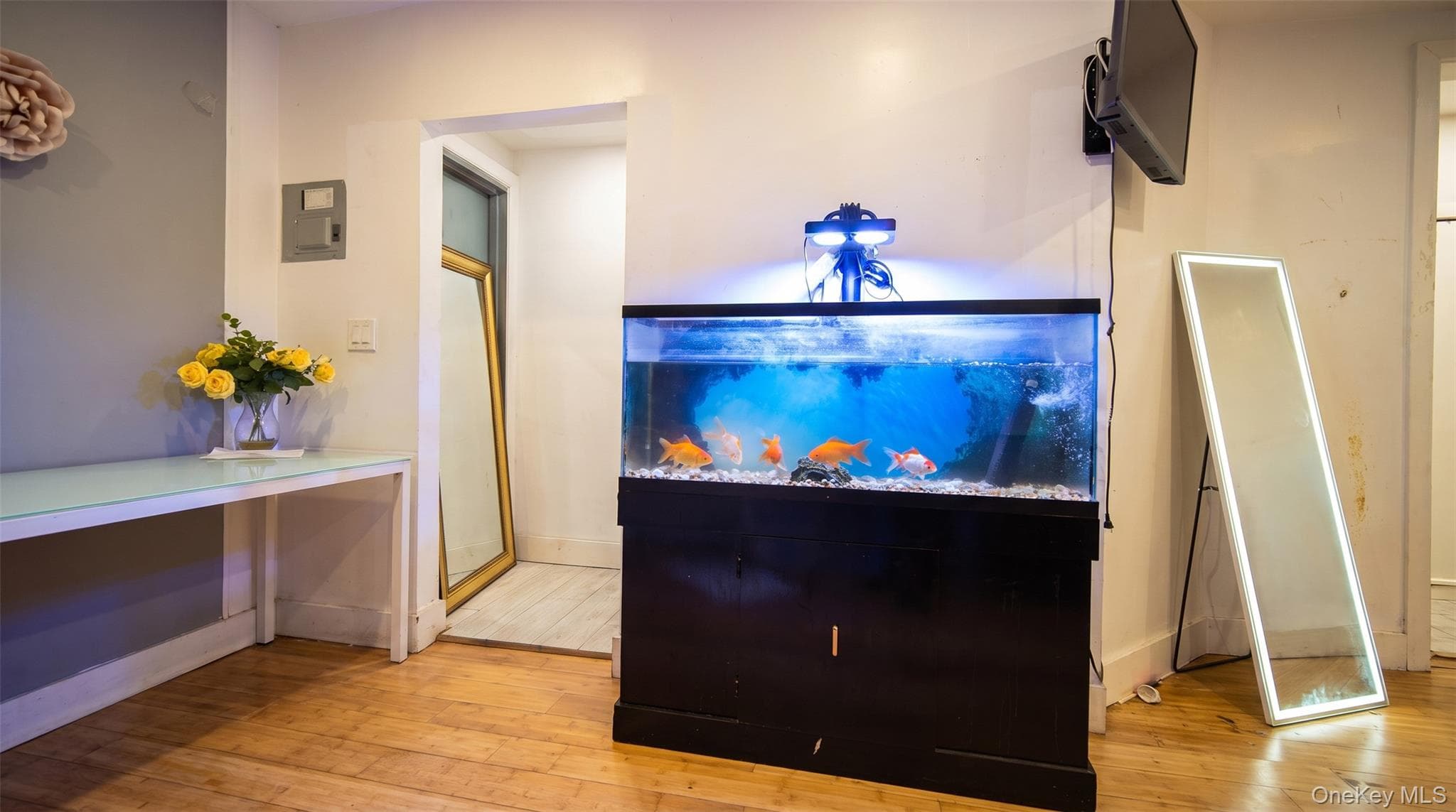 942 Tilden Street thumbnail 6