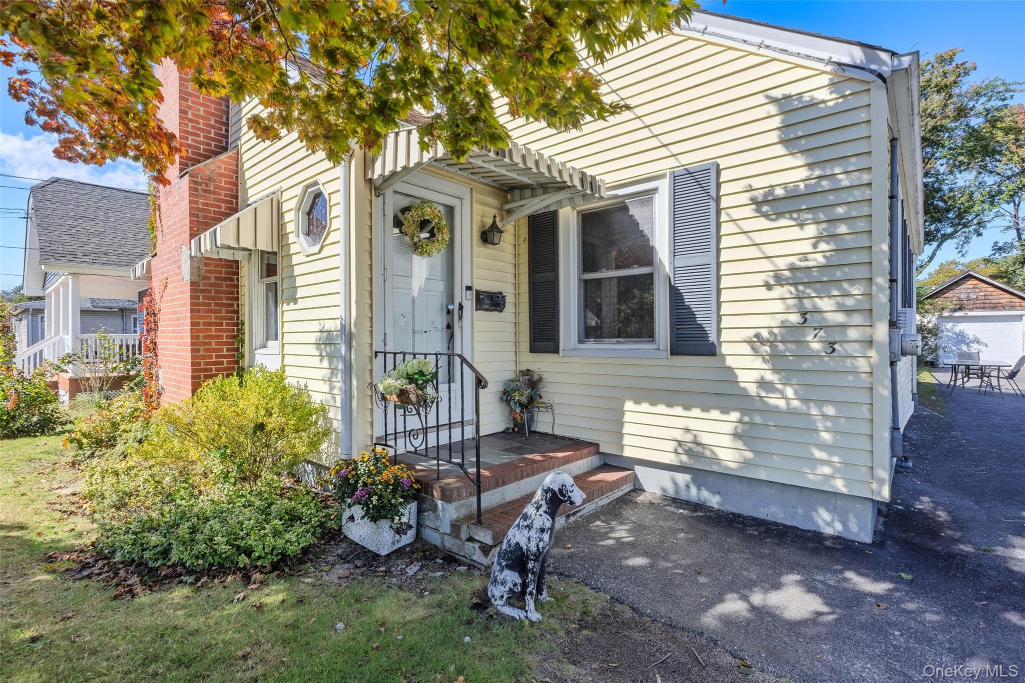 373 Oak Street thumbnail 4