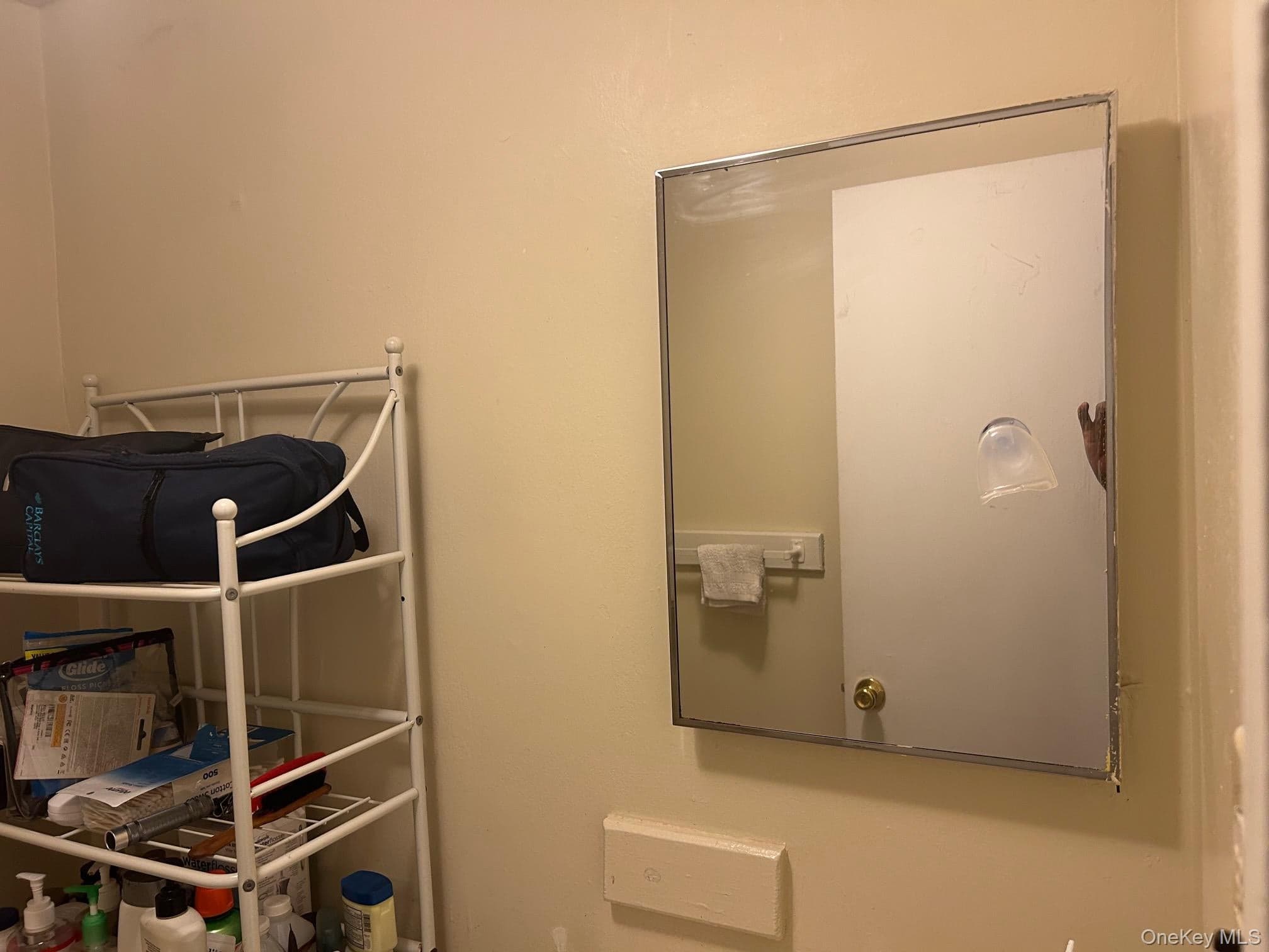 107 Sneden Place Unit: 107 thumbnail 40