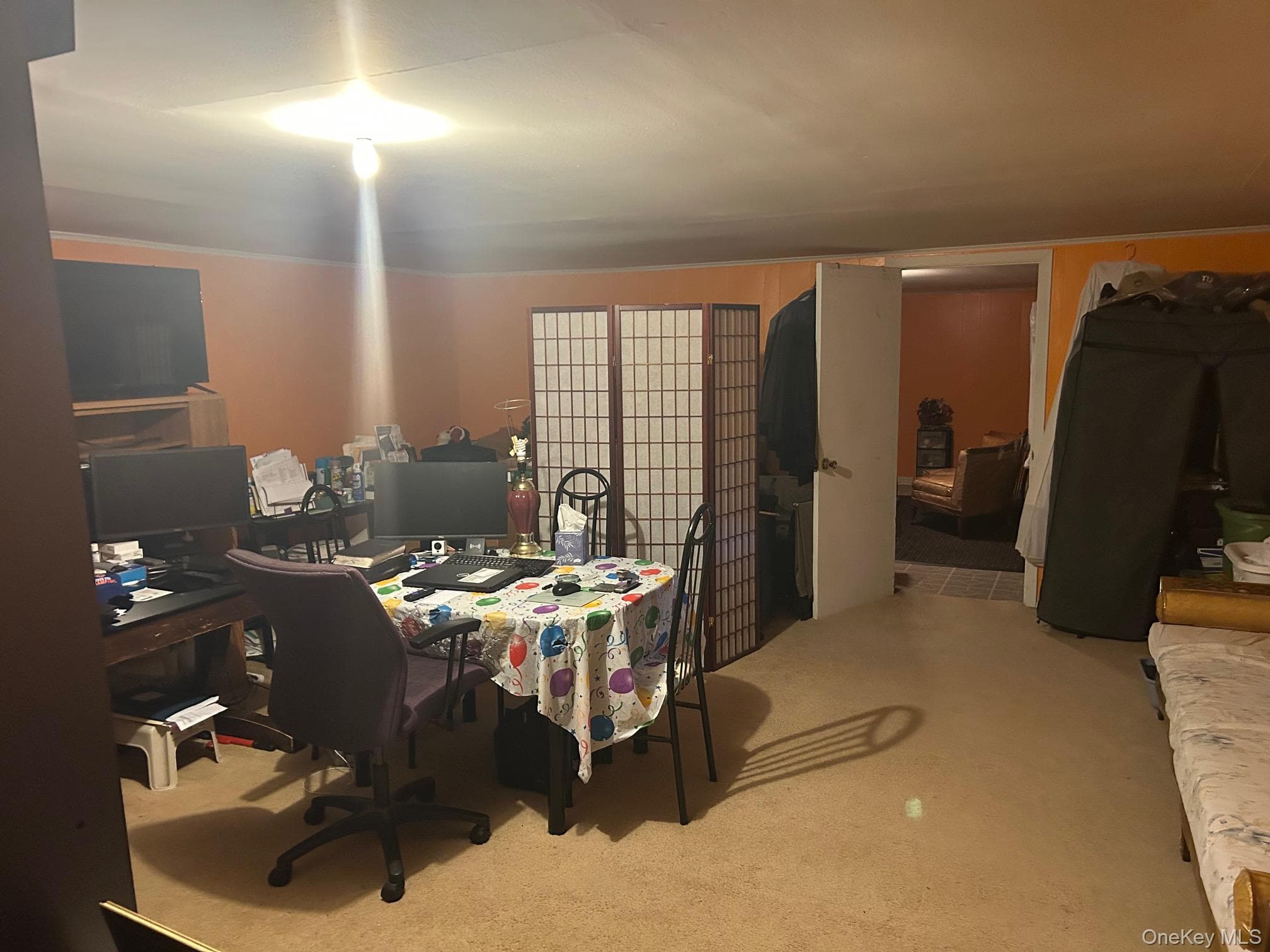 107 Sneden Place Unit: 107 thumbnail 39