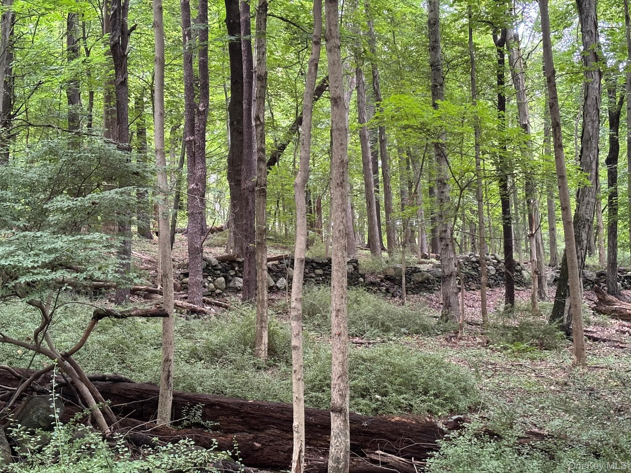 163 Green Lane thumbnail 4