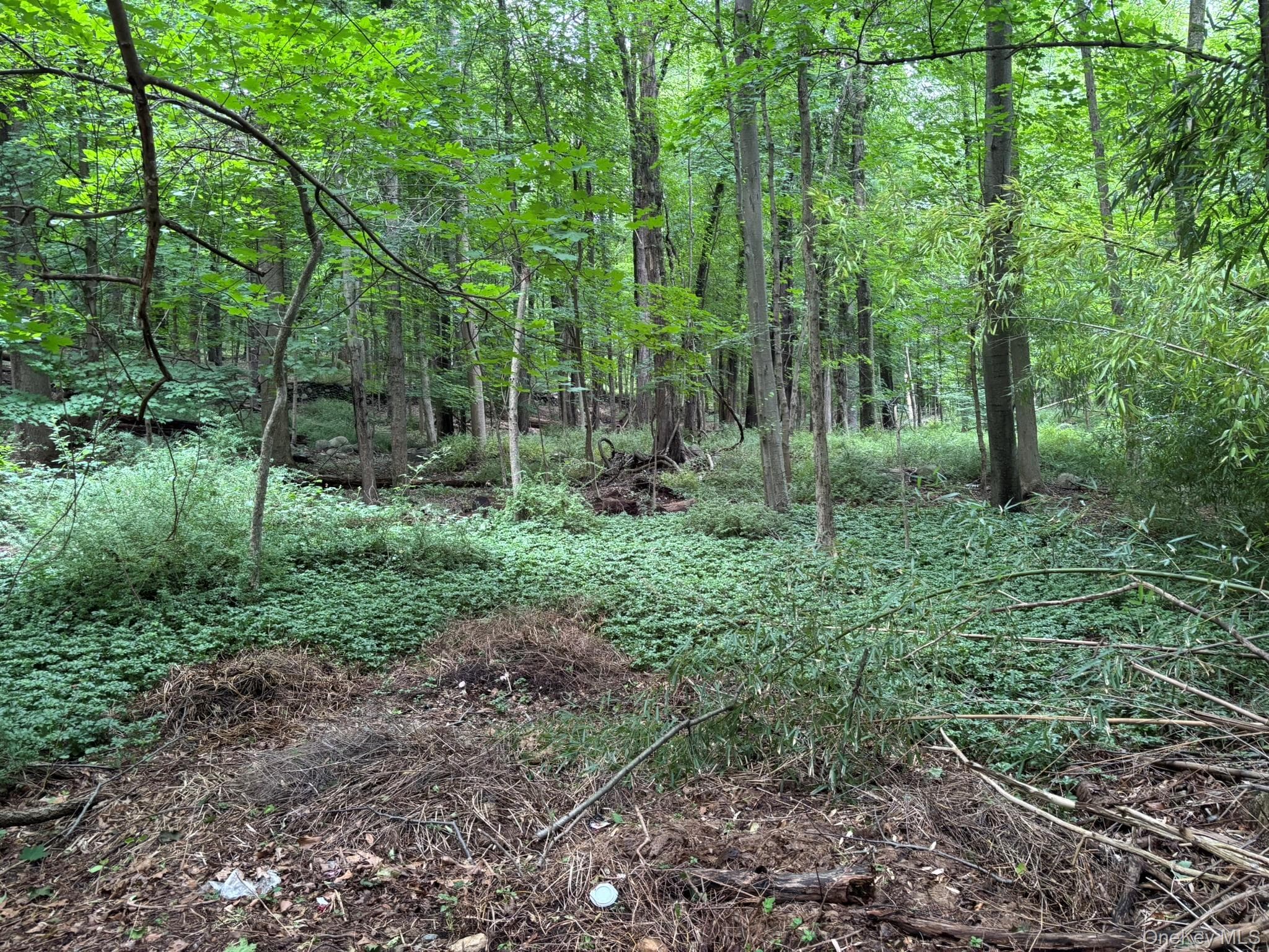 163 Green Lane thumbnail 2