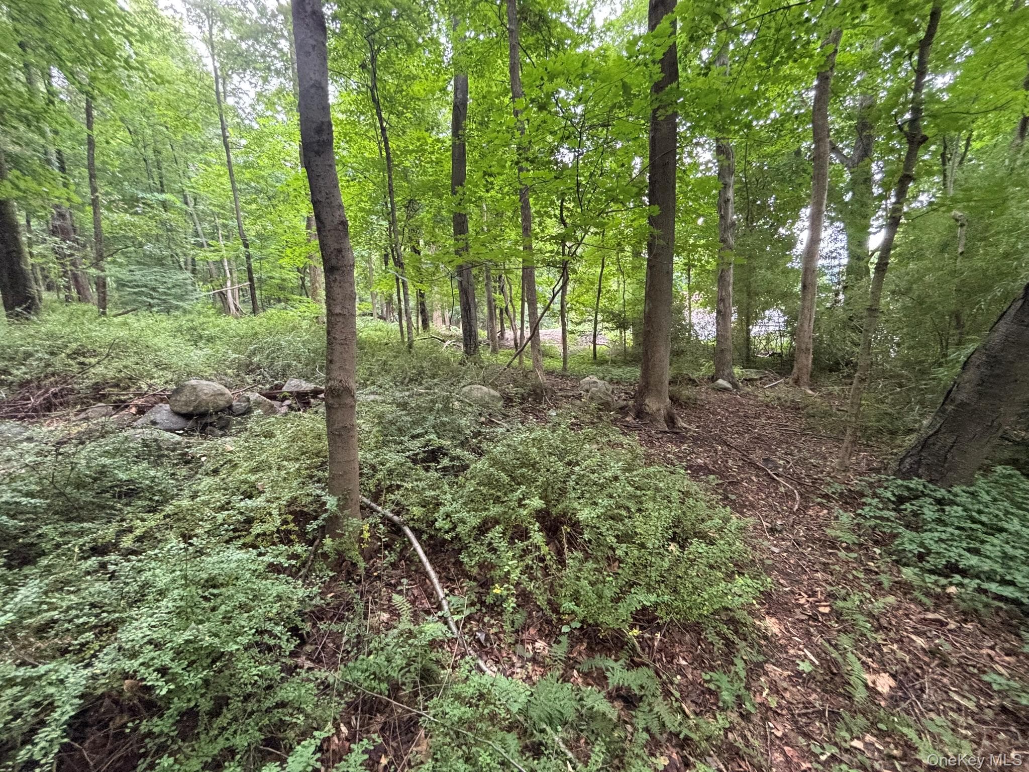 163 Green Lane thumbnail 3