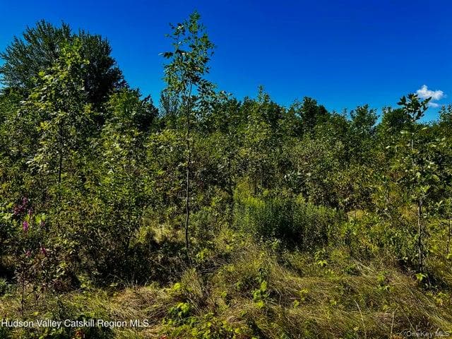 001 N Vernon Street thumbnail 4
