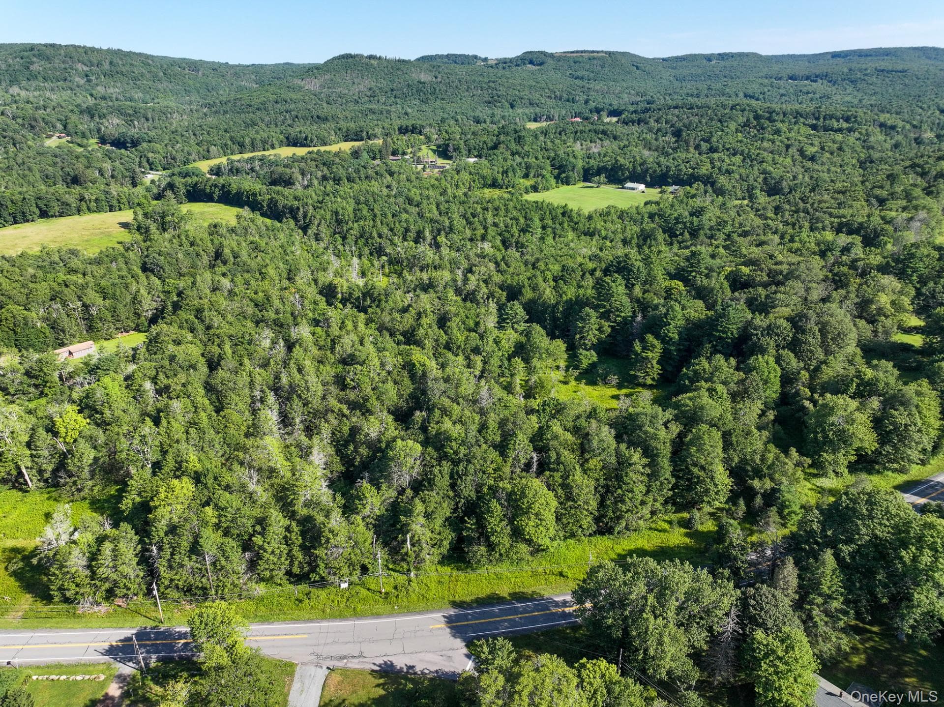 LOT 3 Neversink Road thumbnail 9