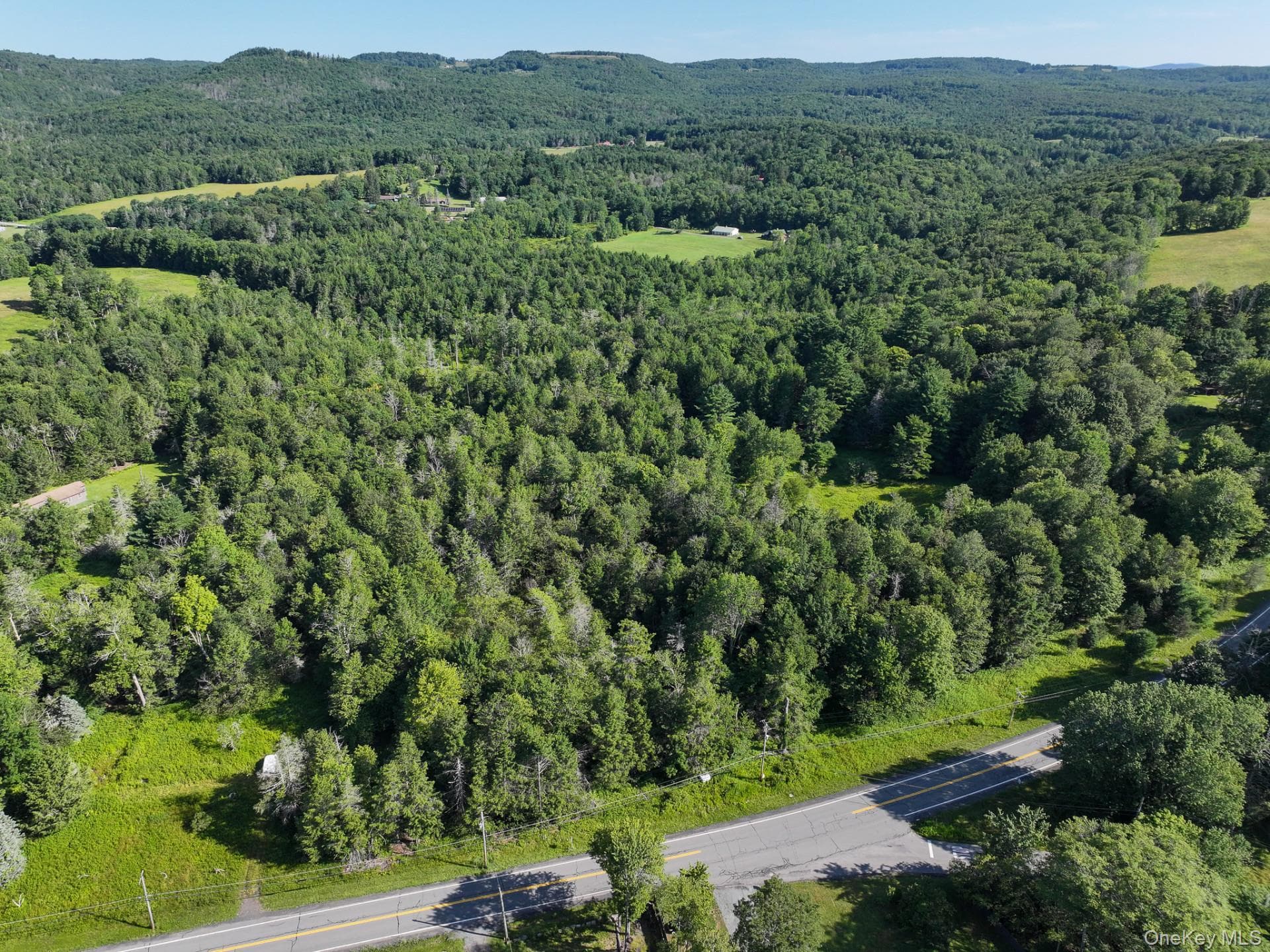 LOT 3 Neversink Road thumbnail 3