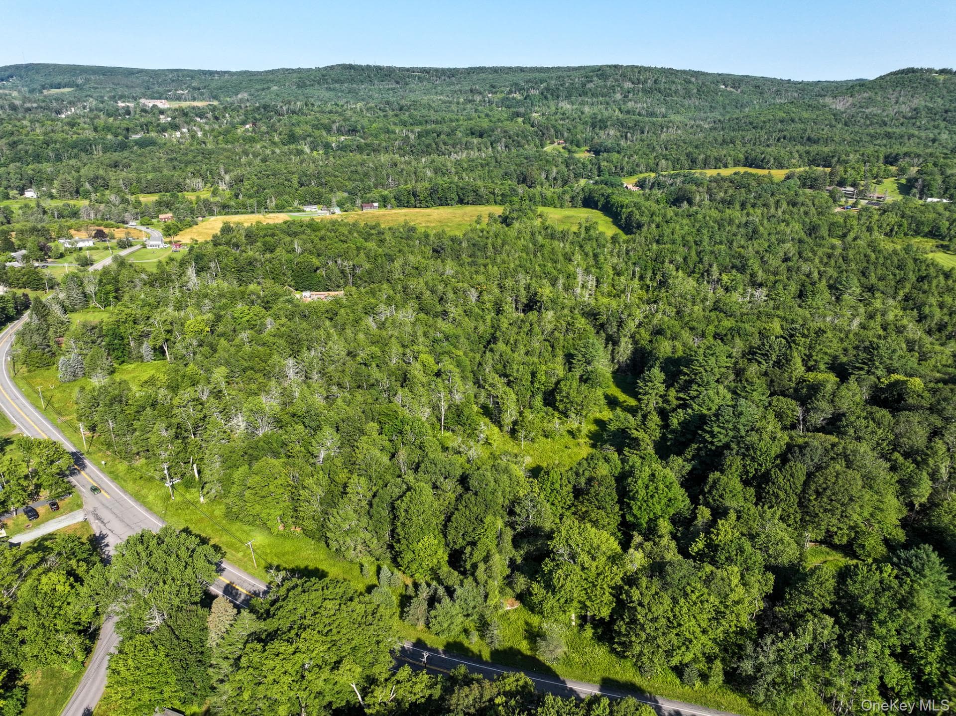 LOT 3 Neversink Road thumbnail 8
