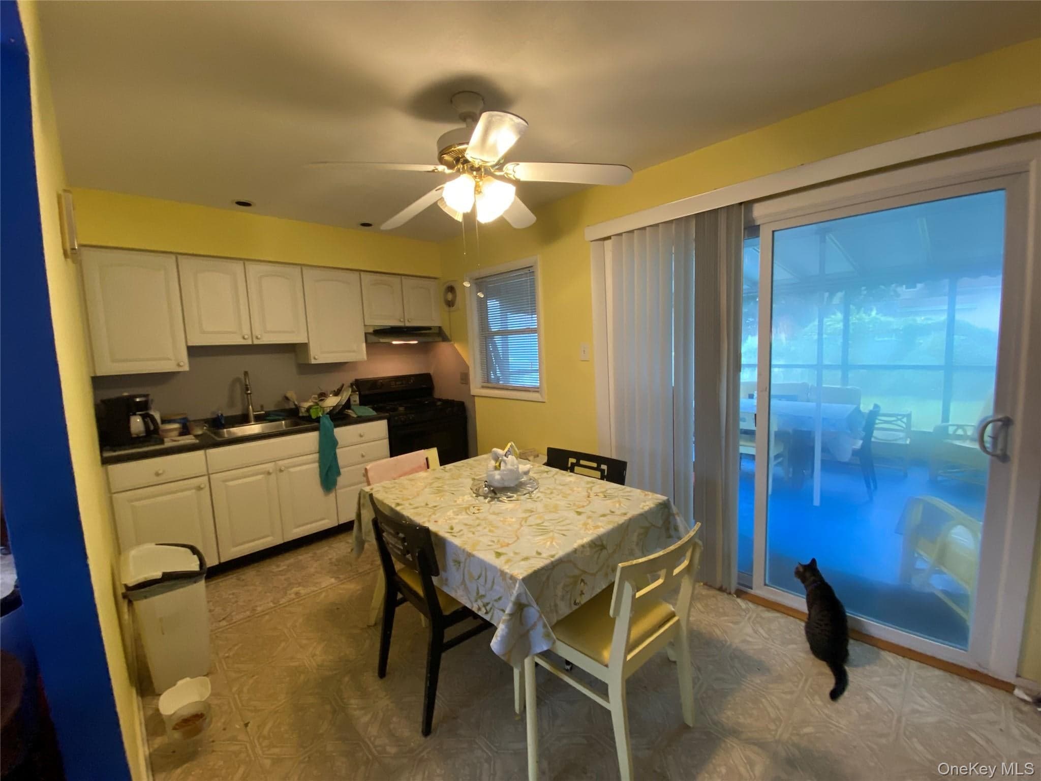 85 Stellenwerf Avenue thumbnail 13