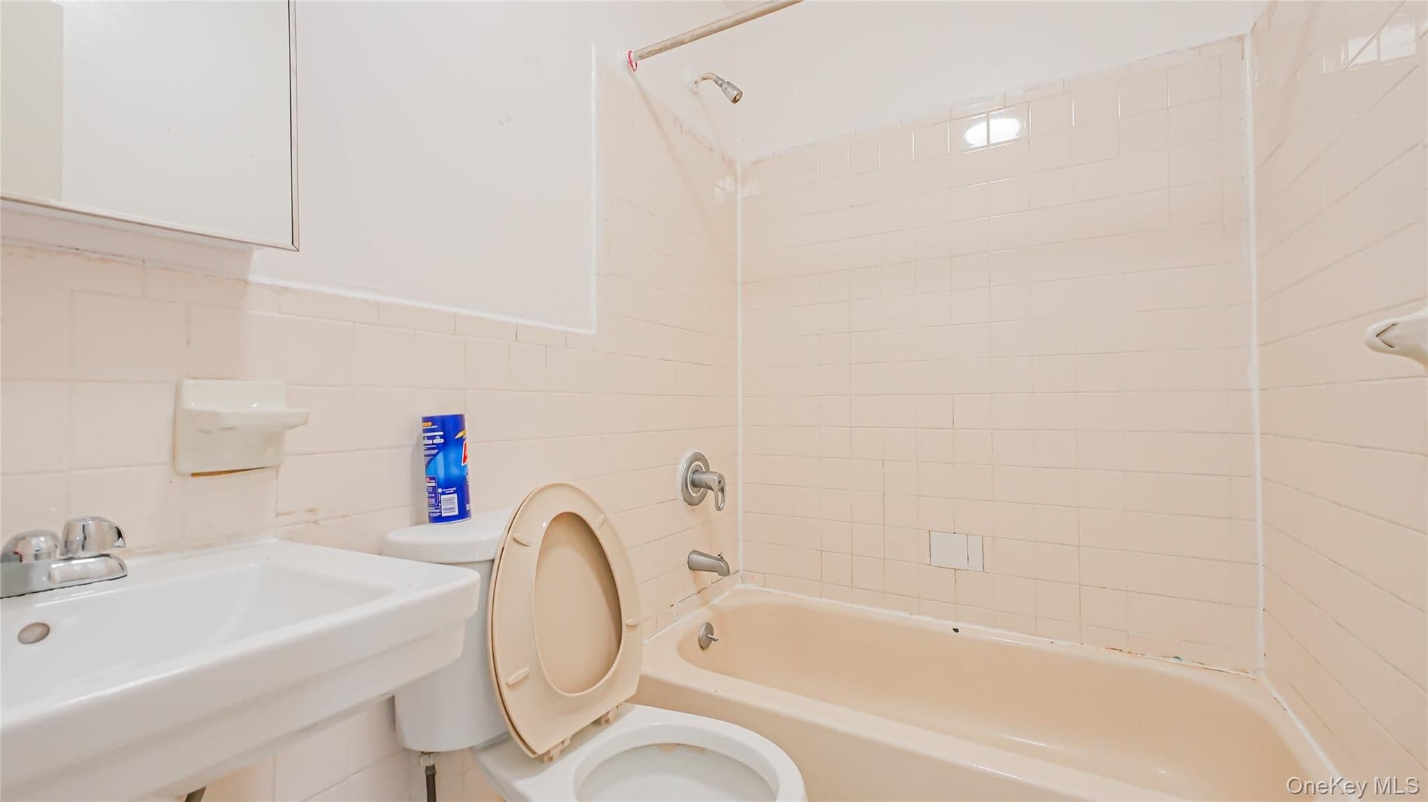381 E 152nd Street thumbnail 8