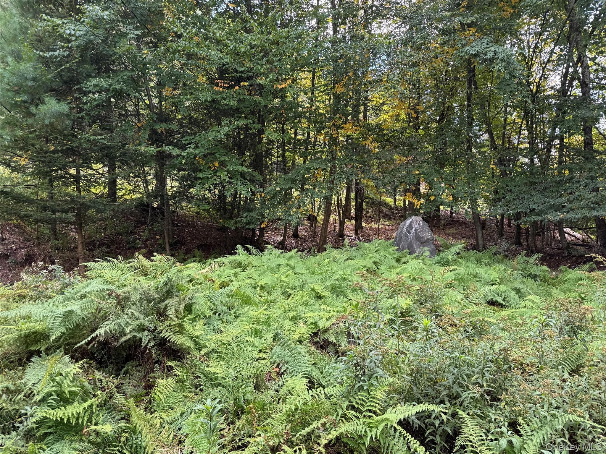 186 Twin Bridge Road thumbnail 14
