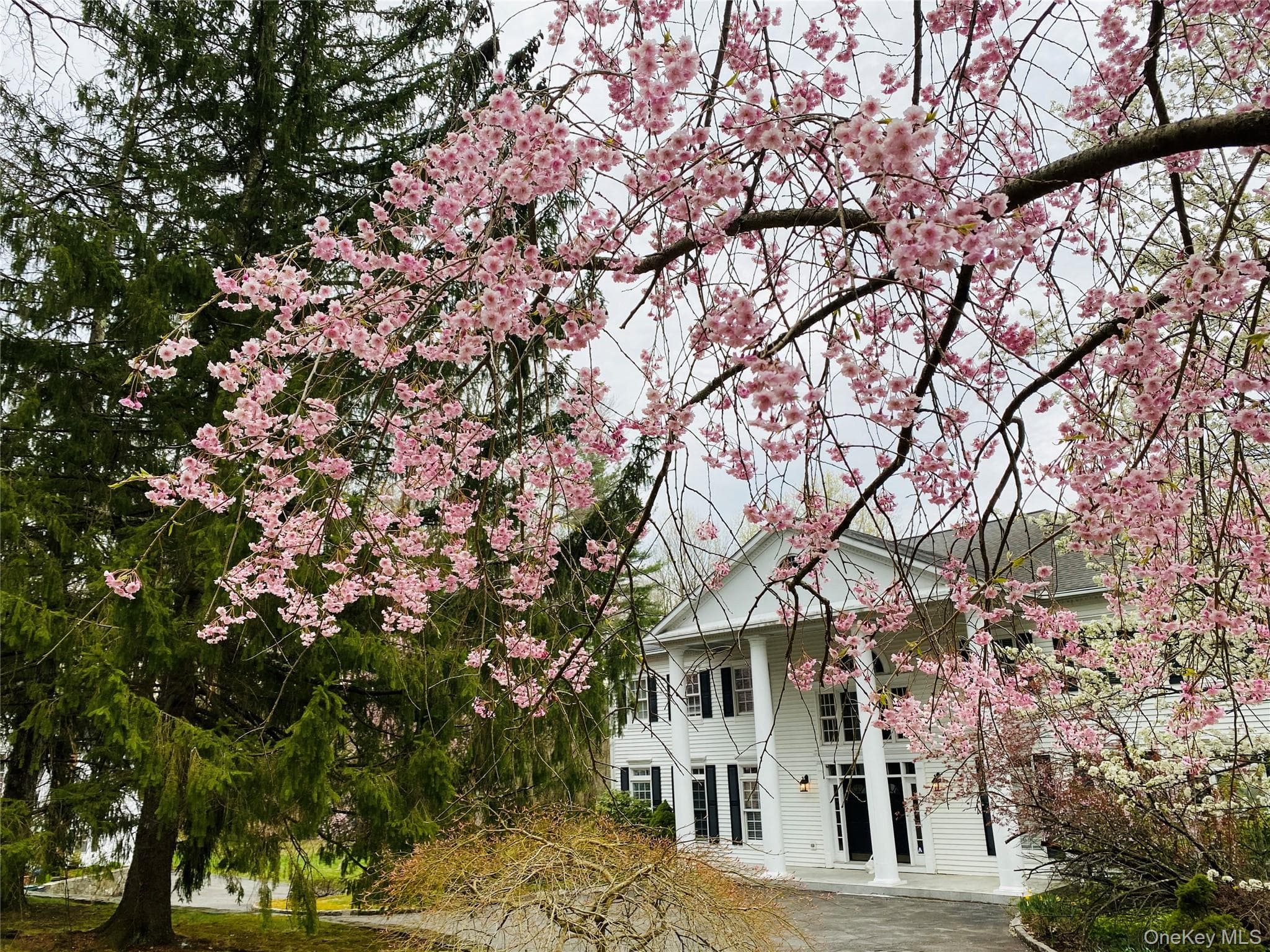 59 Orchard Hill Road thumbnail 24